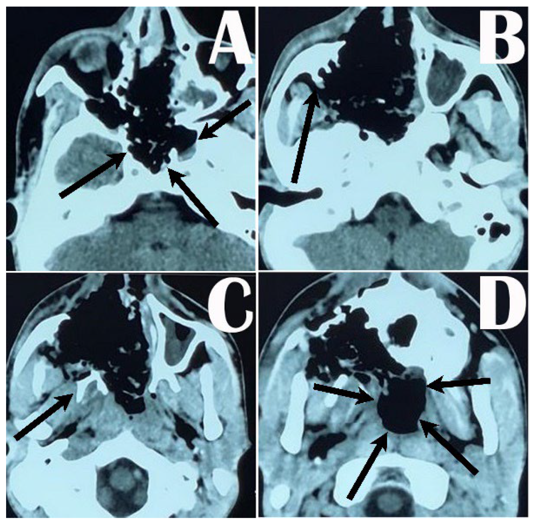 Medicina 59 01620 g002