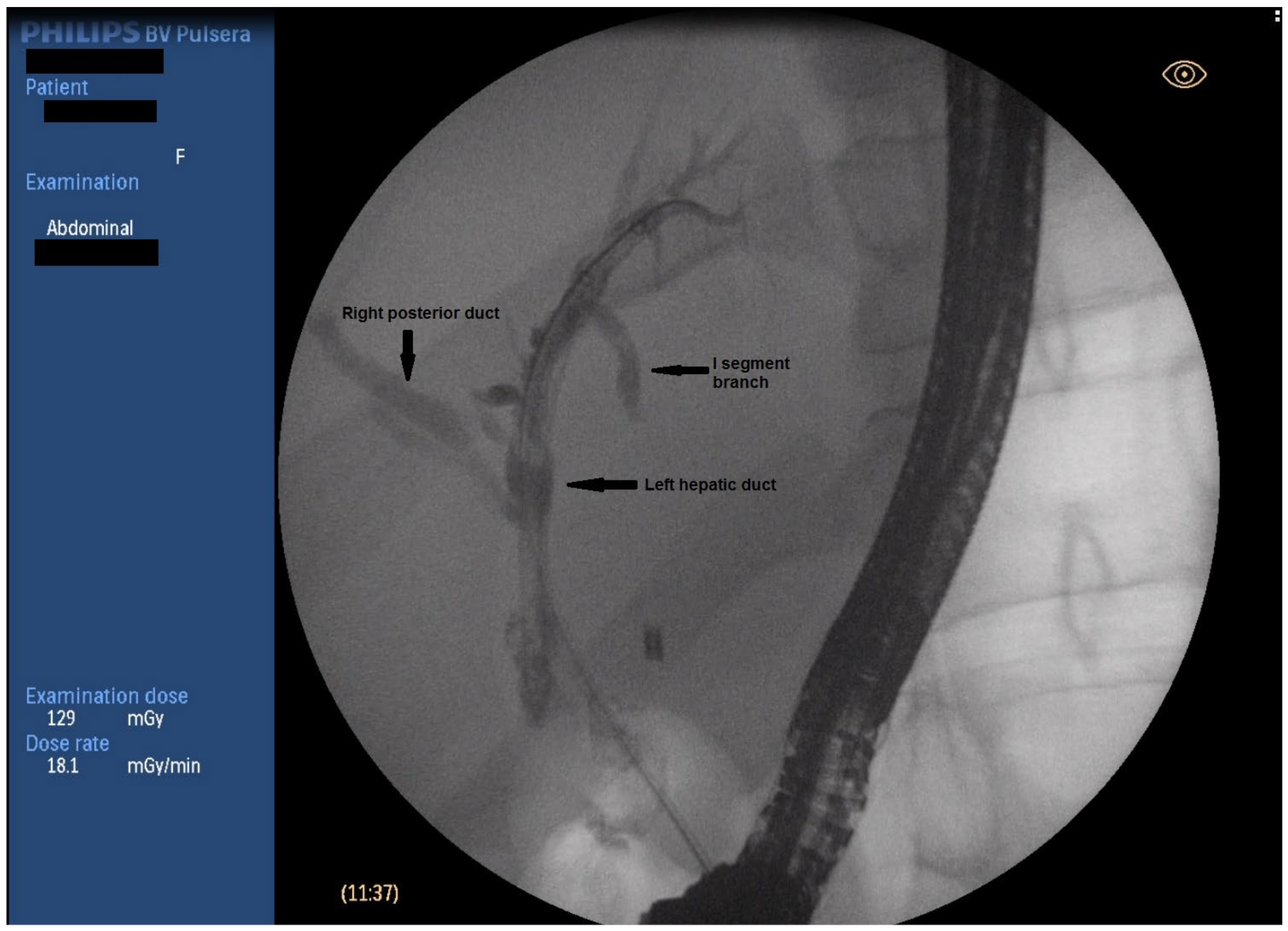 Medicina 59 01621 g002