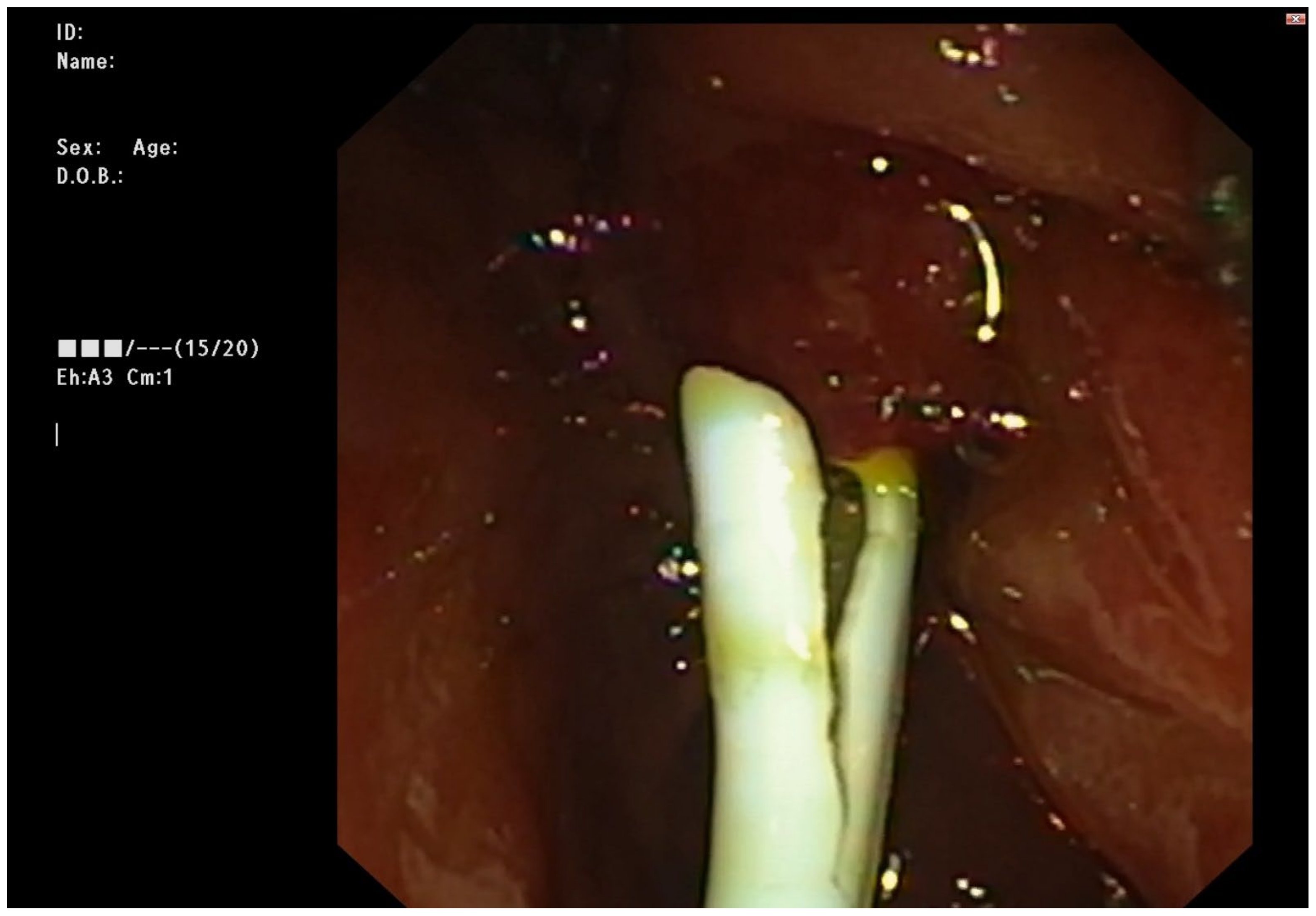 Medicina 59 01621 g003