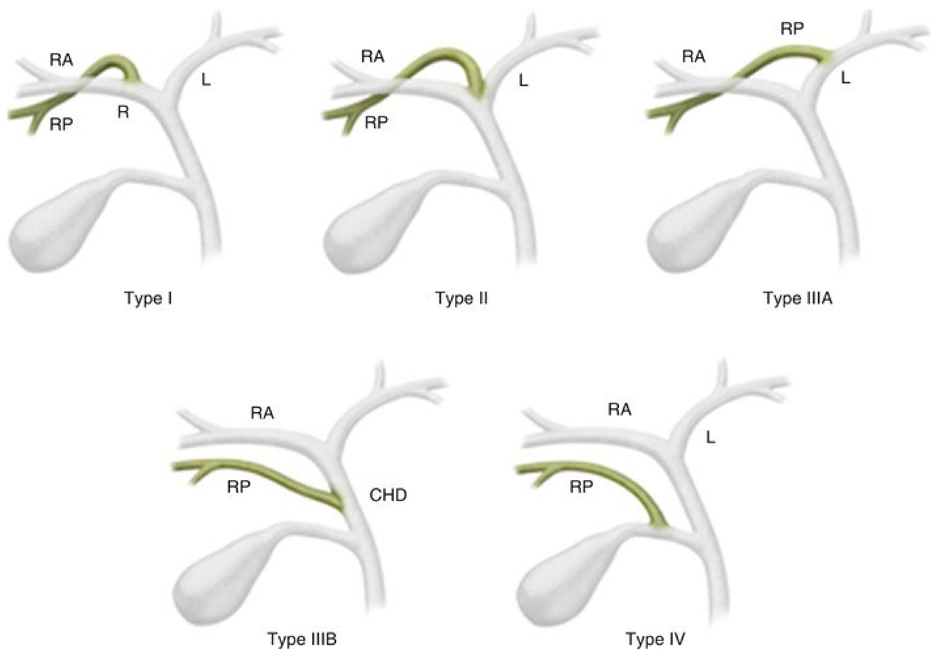 Medicina 59 01621 g0a1