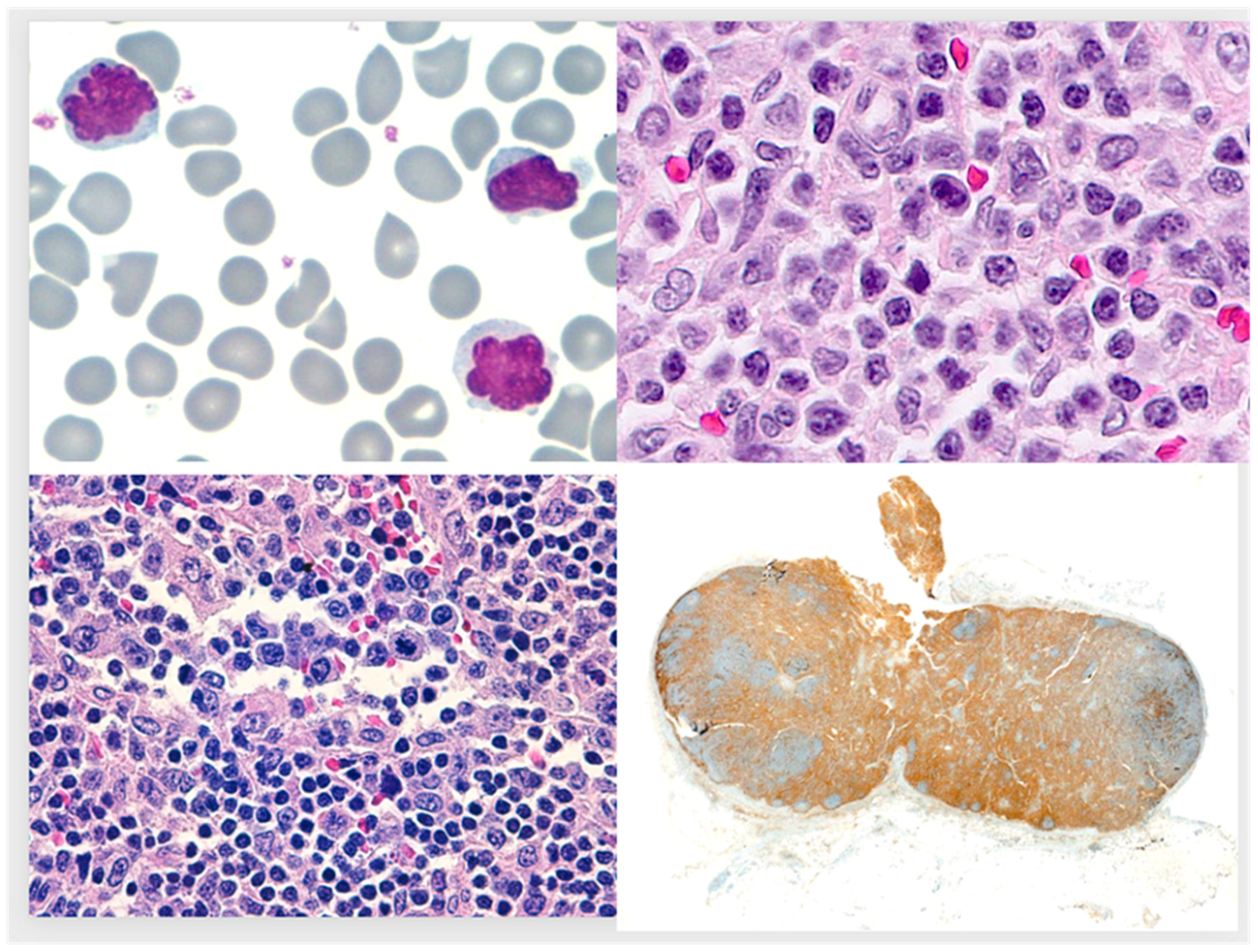 Medicina 59 01628 g001