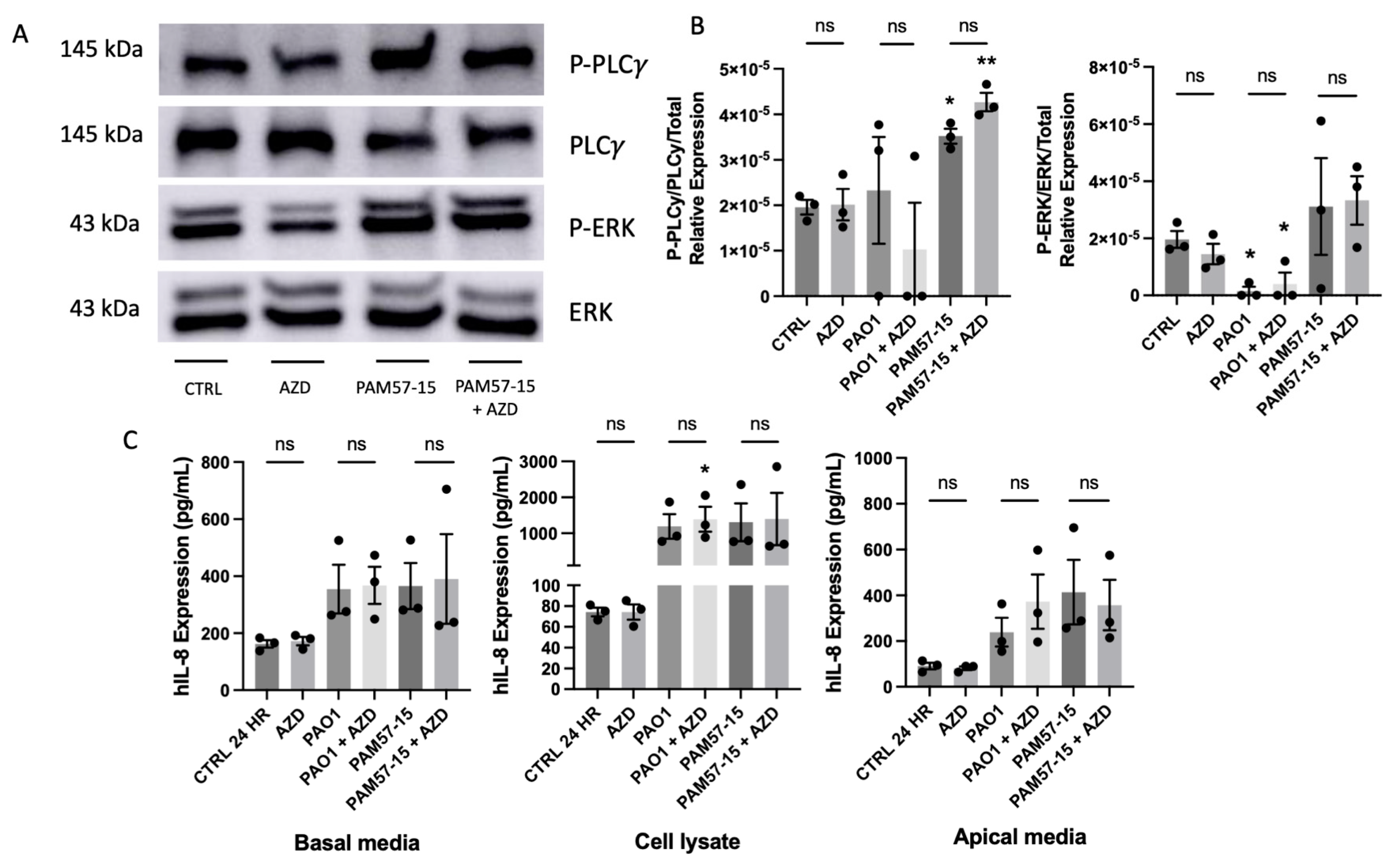 Medicina 59 01635 g004