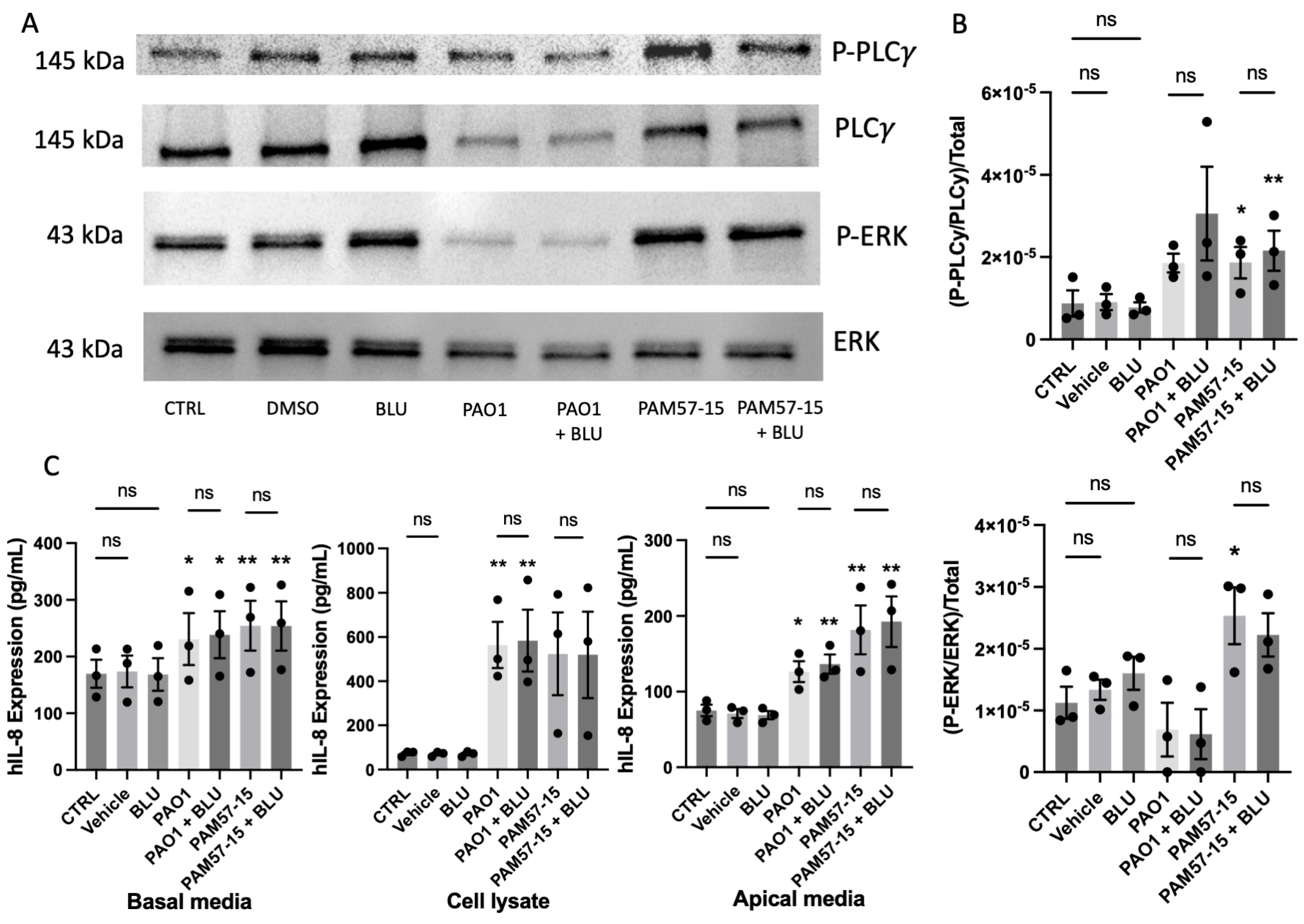 Medicina 59 01635 g005