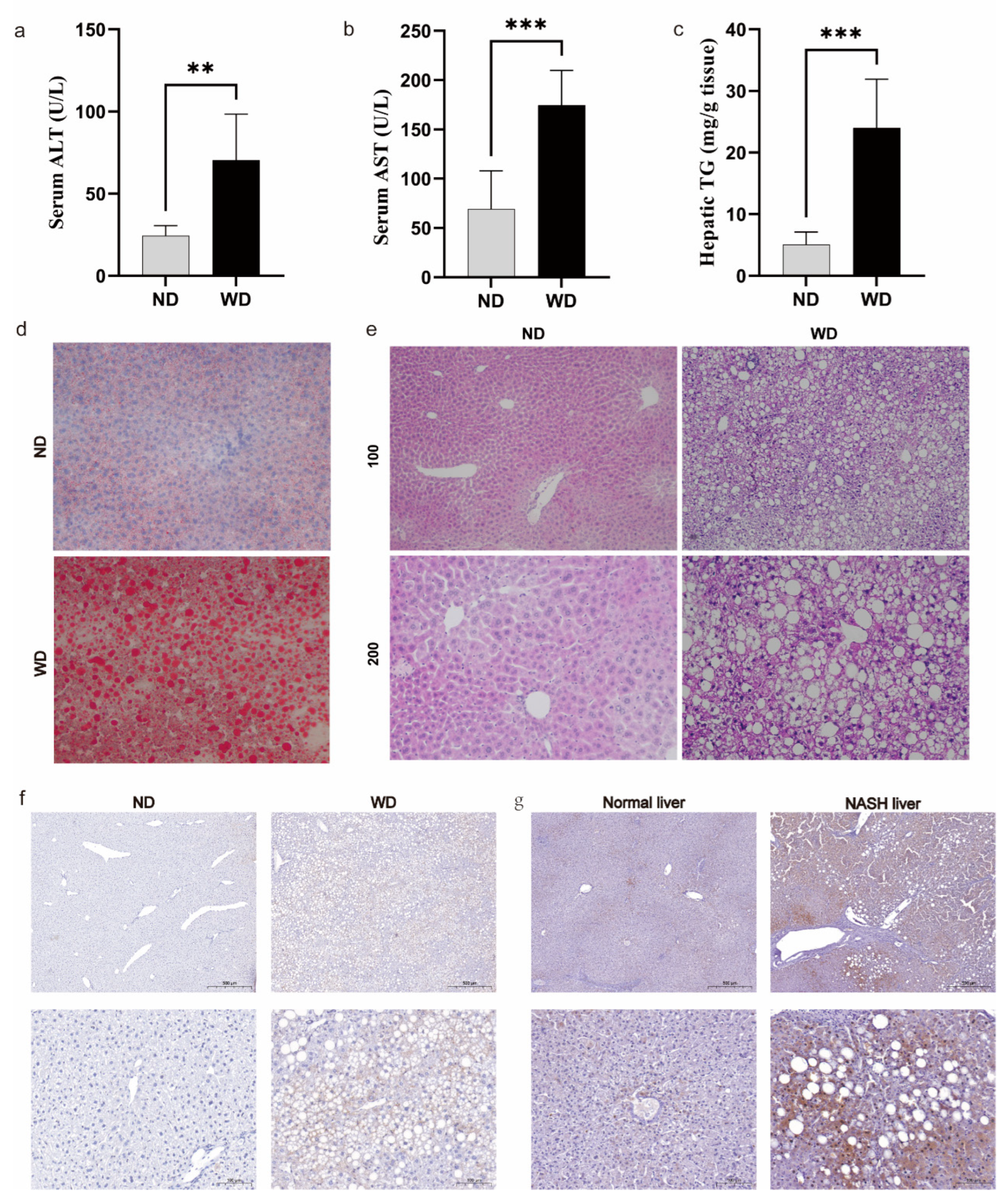 Medicina 59 01639 g009