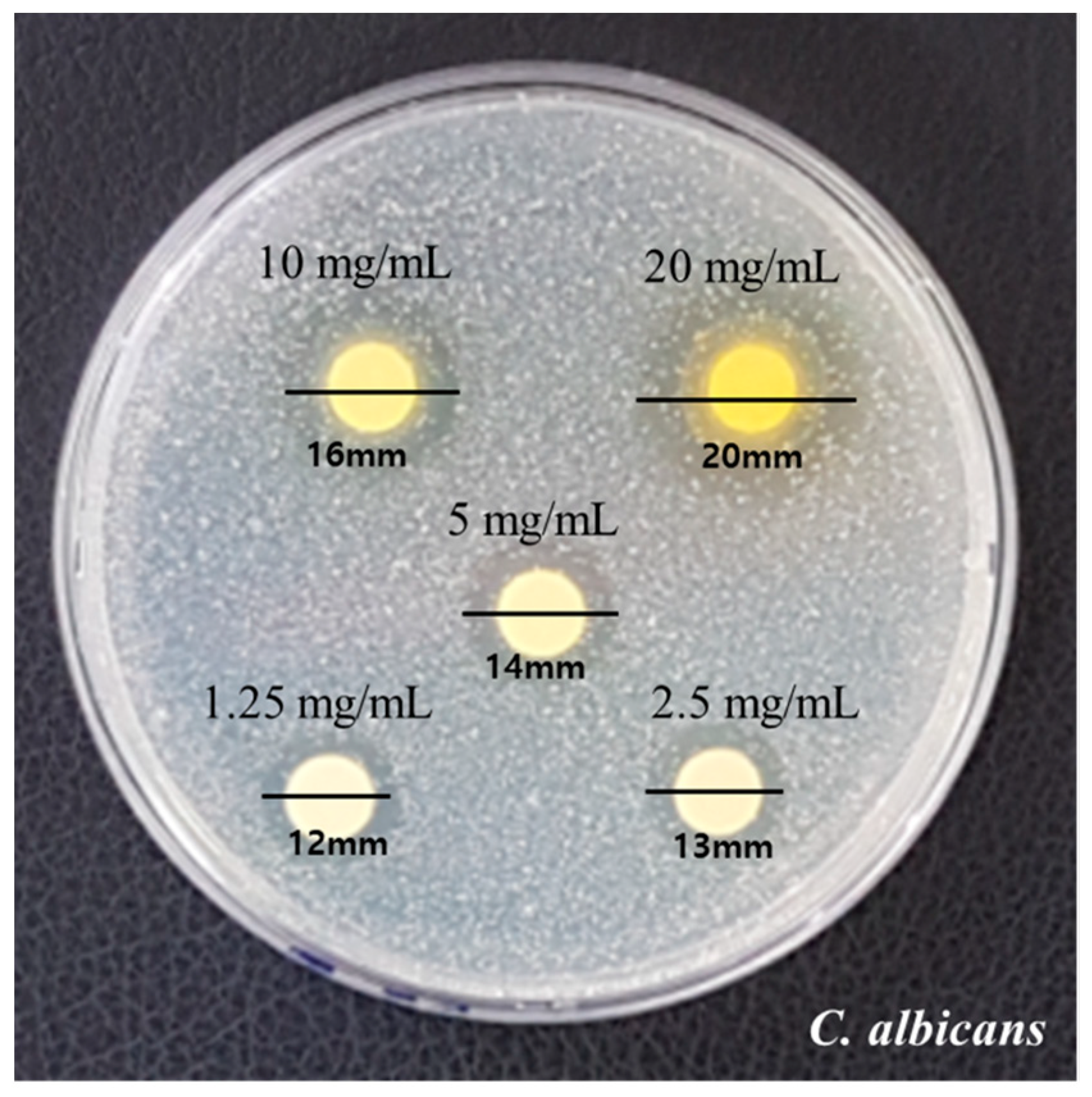 Medicina 59 01642 g001 Medicina 59 01642 g001