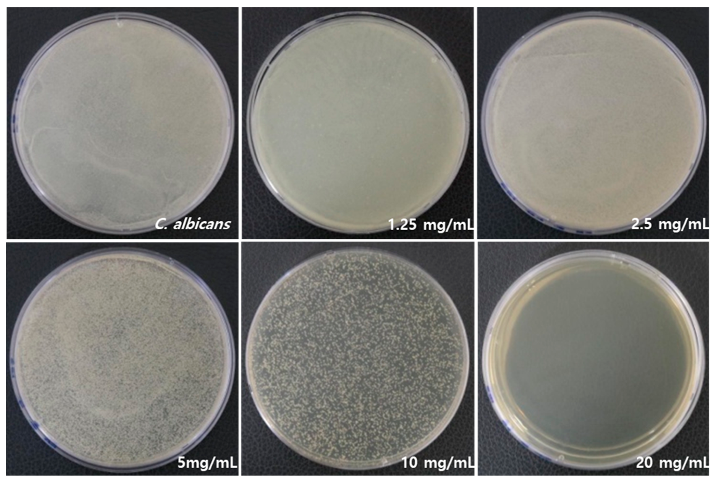 Medicina 59 01642 g002 Medicina 59 01642 g002