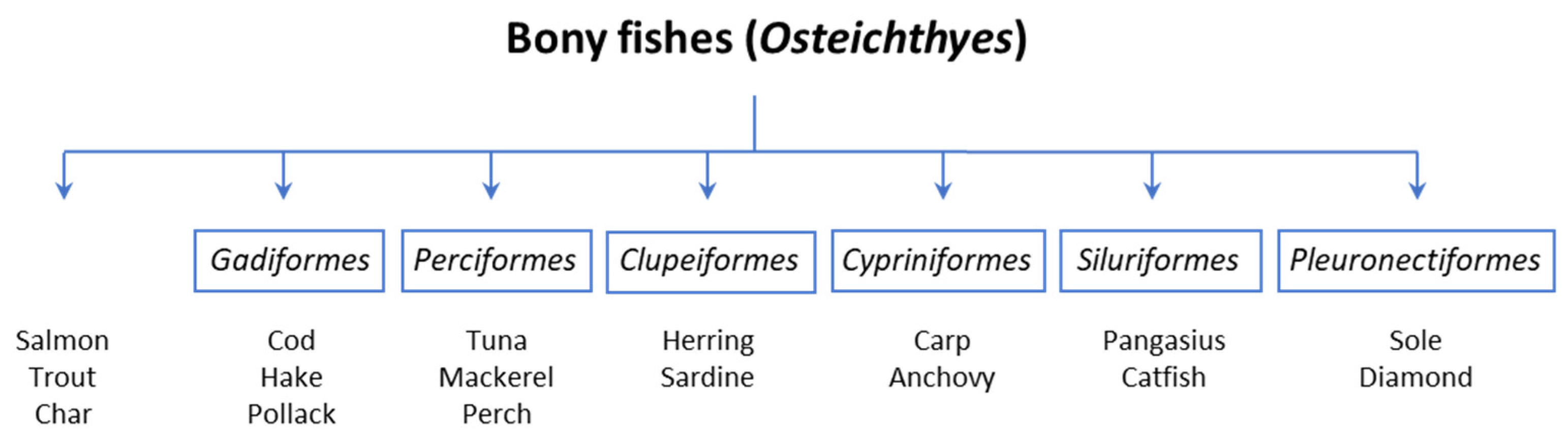 Medicina 59 01651 g001