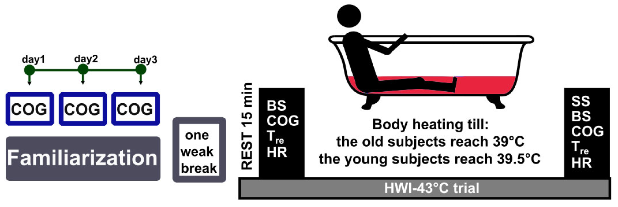 Medicina 59 01665 g001 Medicina 59 01665 g001