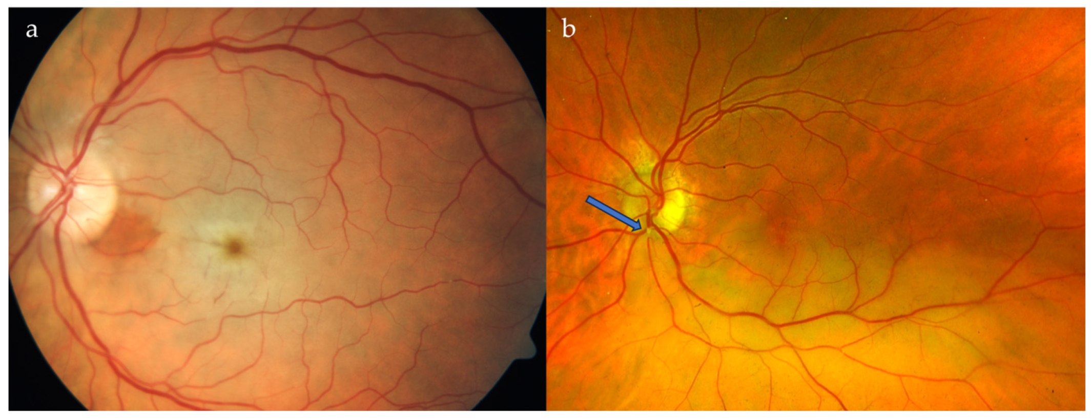 Medicina 59 01680 g001