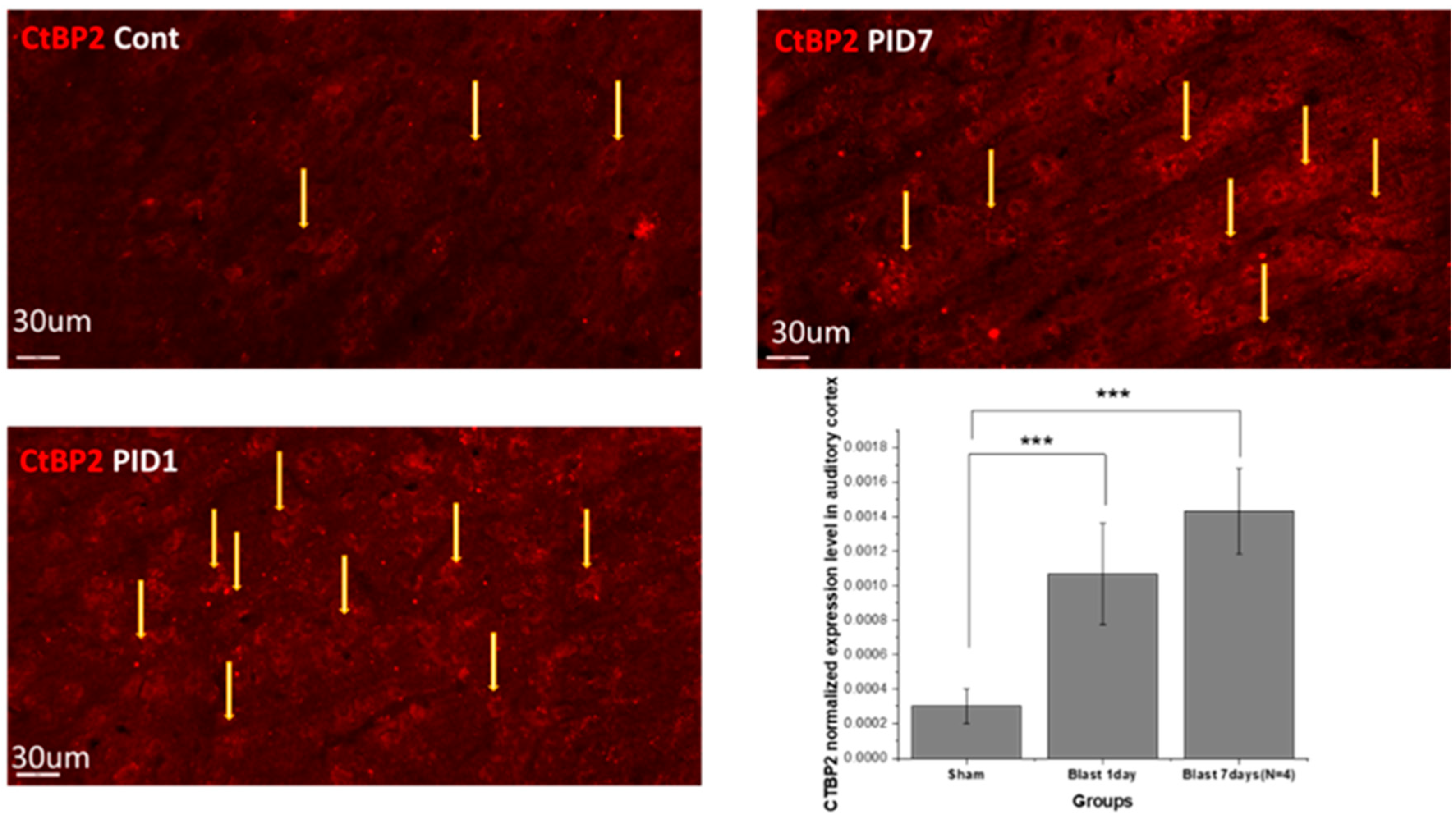 Medicina 59 01683 g005