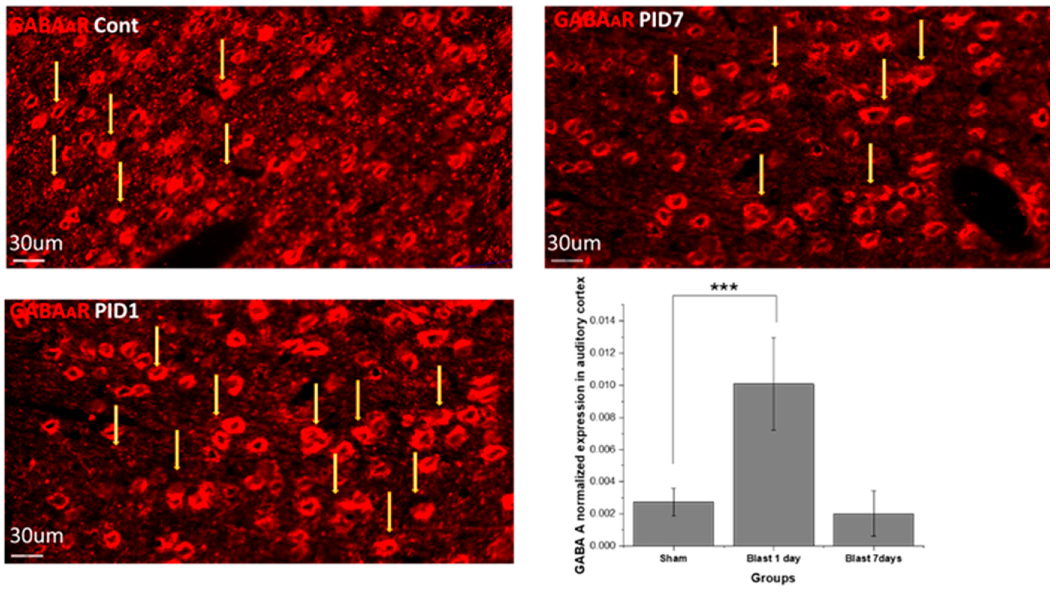 Medicina 59 01683 g006