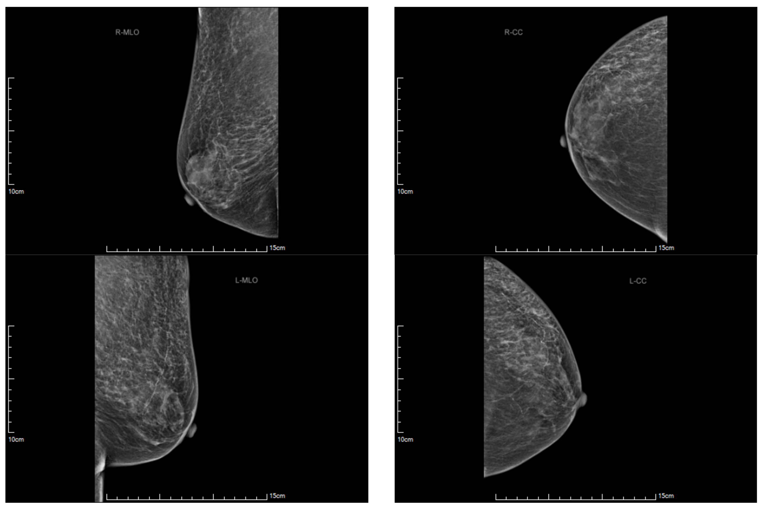 Medicina 59 01688 g005