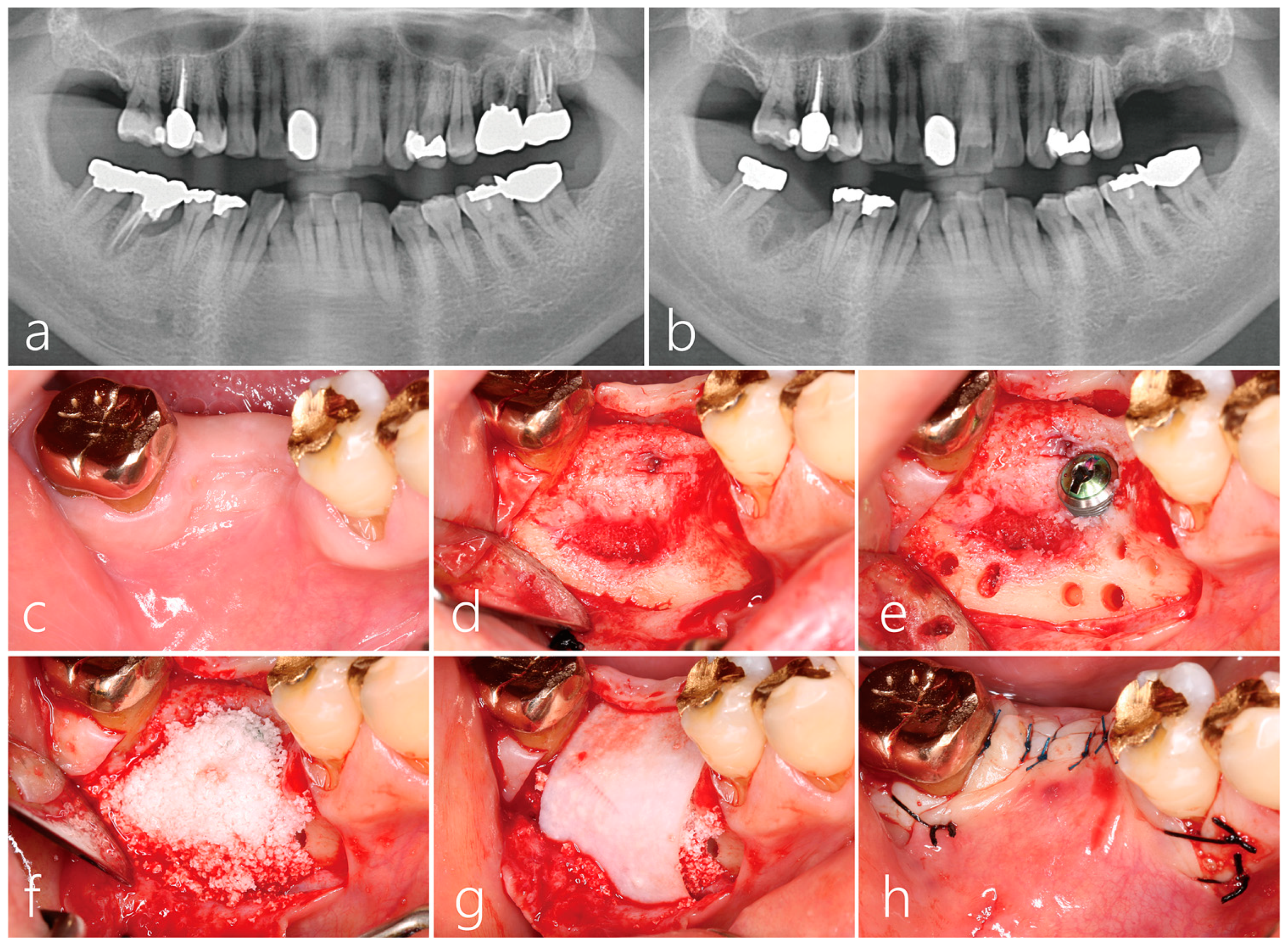 Medicina 59 01691 g001
