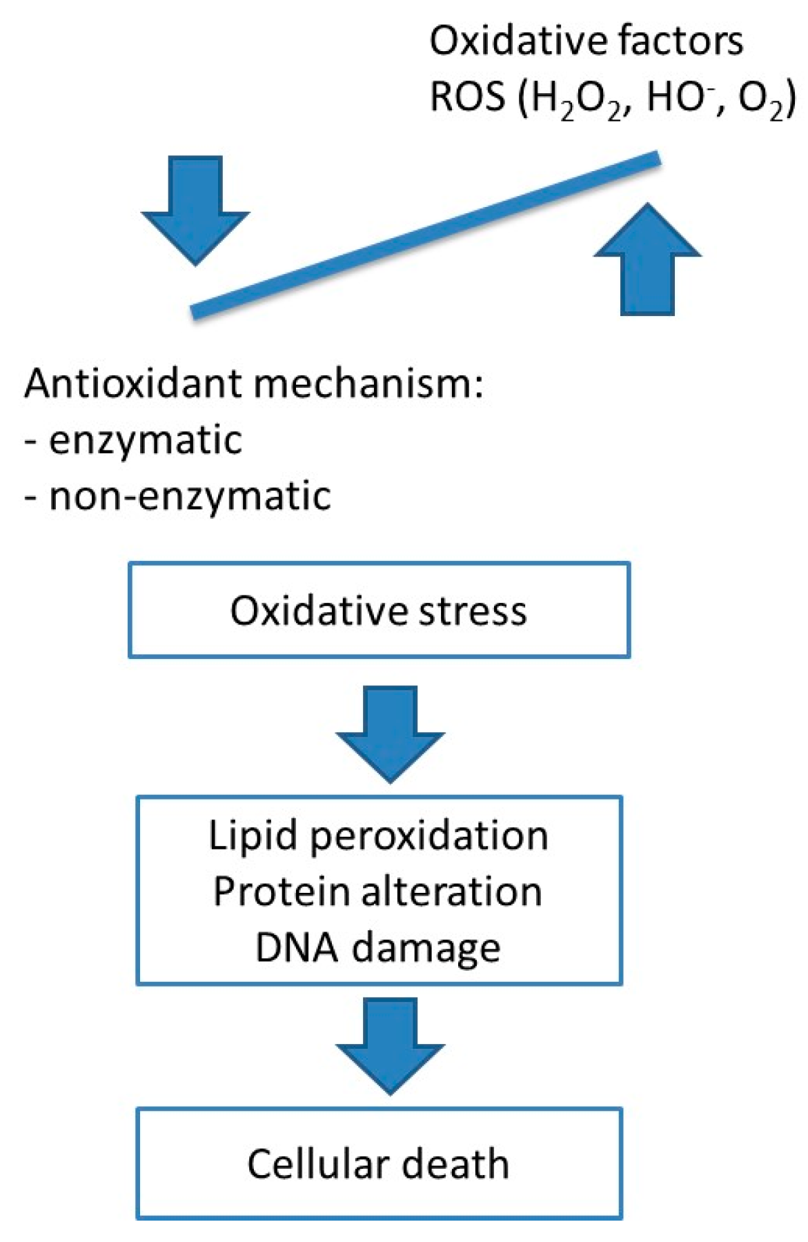 Medicina 59 01692 g002 Medicina 59 01692 g002