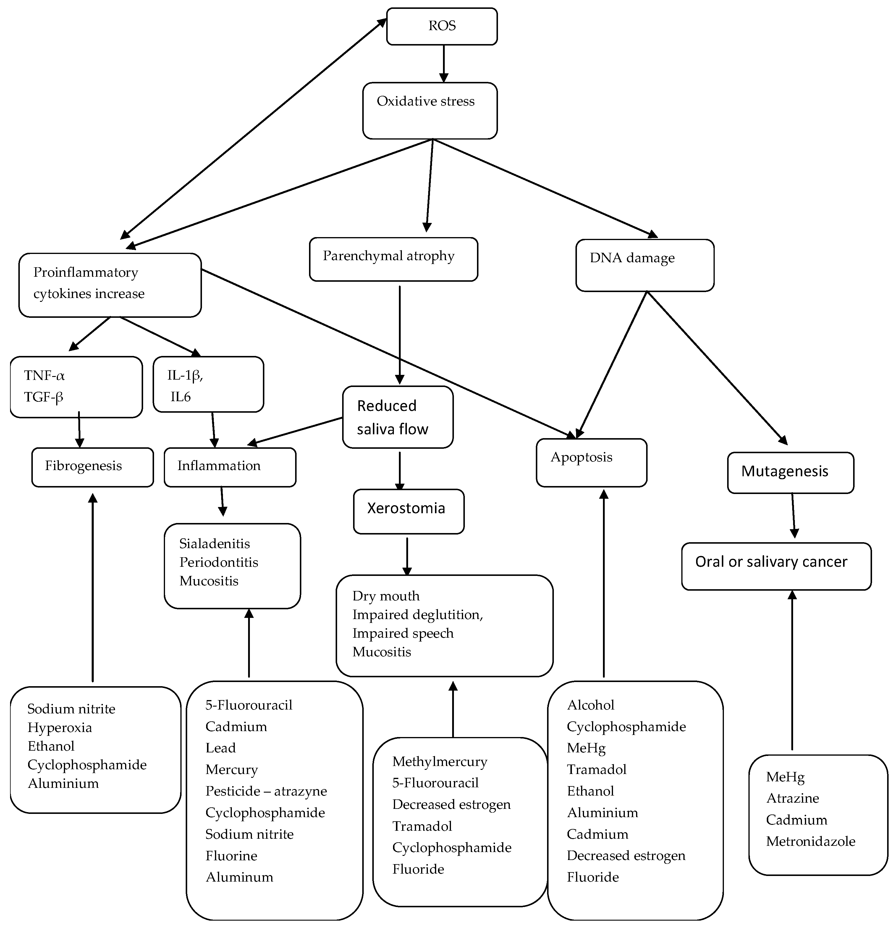 Medicina 59 01692 g003 Medicina 59 01692 g003