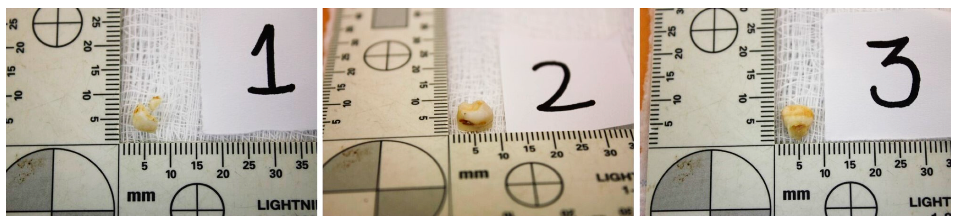 Medicina 59 01702 g001