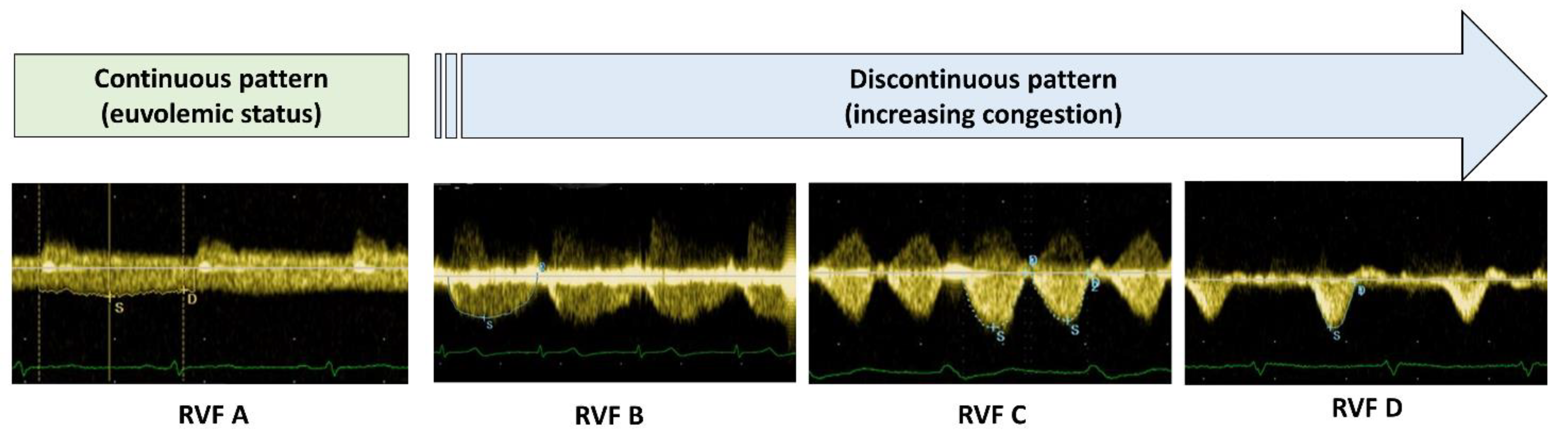 Medicina 59 01704 g002 Medicina 59 01704 g002