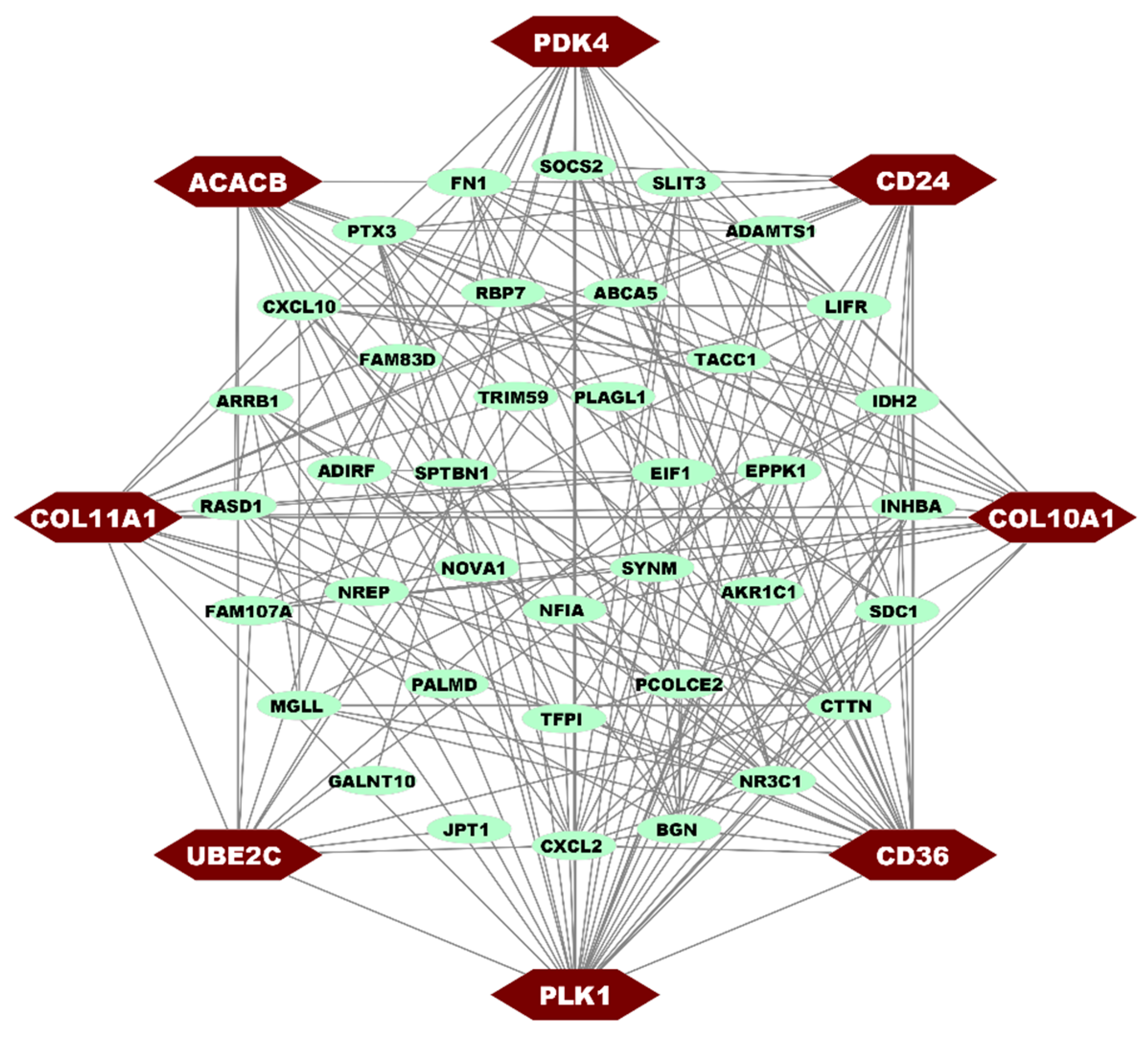 Medicina 59 01705 g003