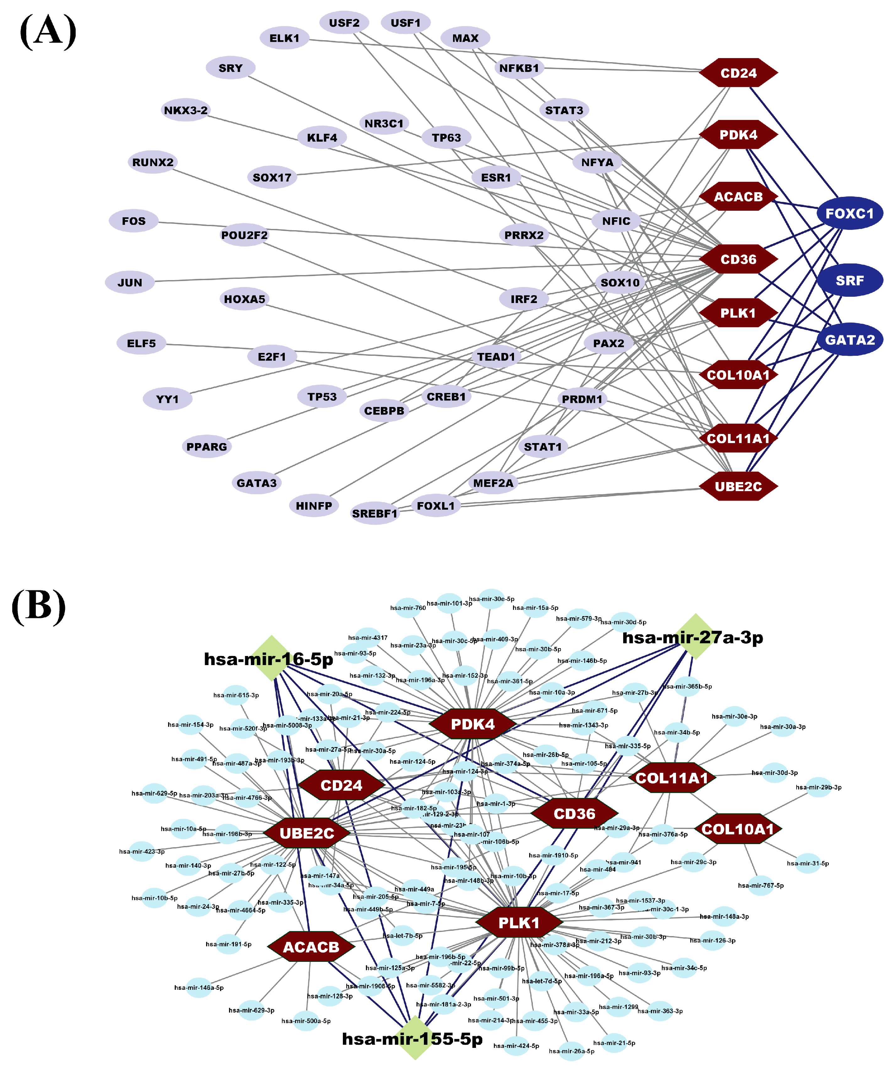 Medicina 59 01705 g004