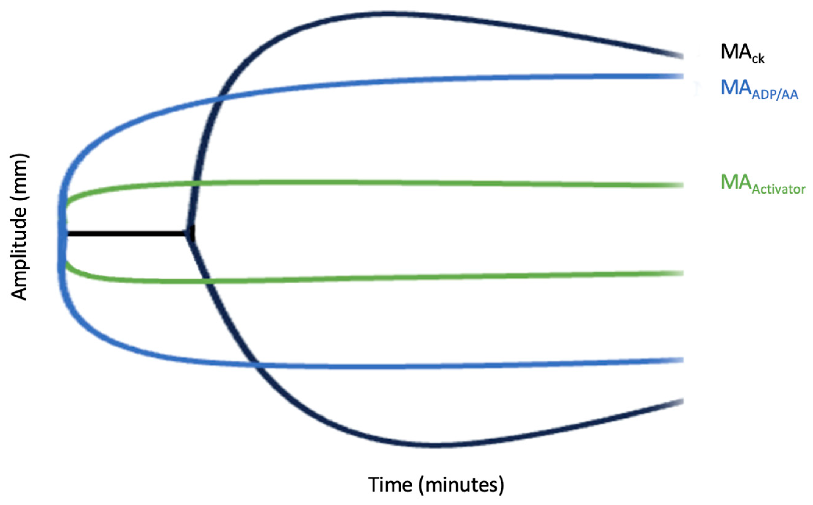 Medicina 59 01714 g004