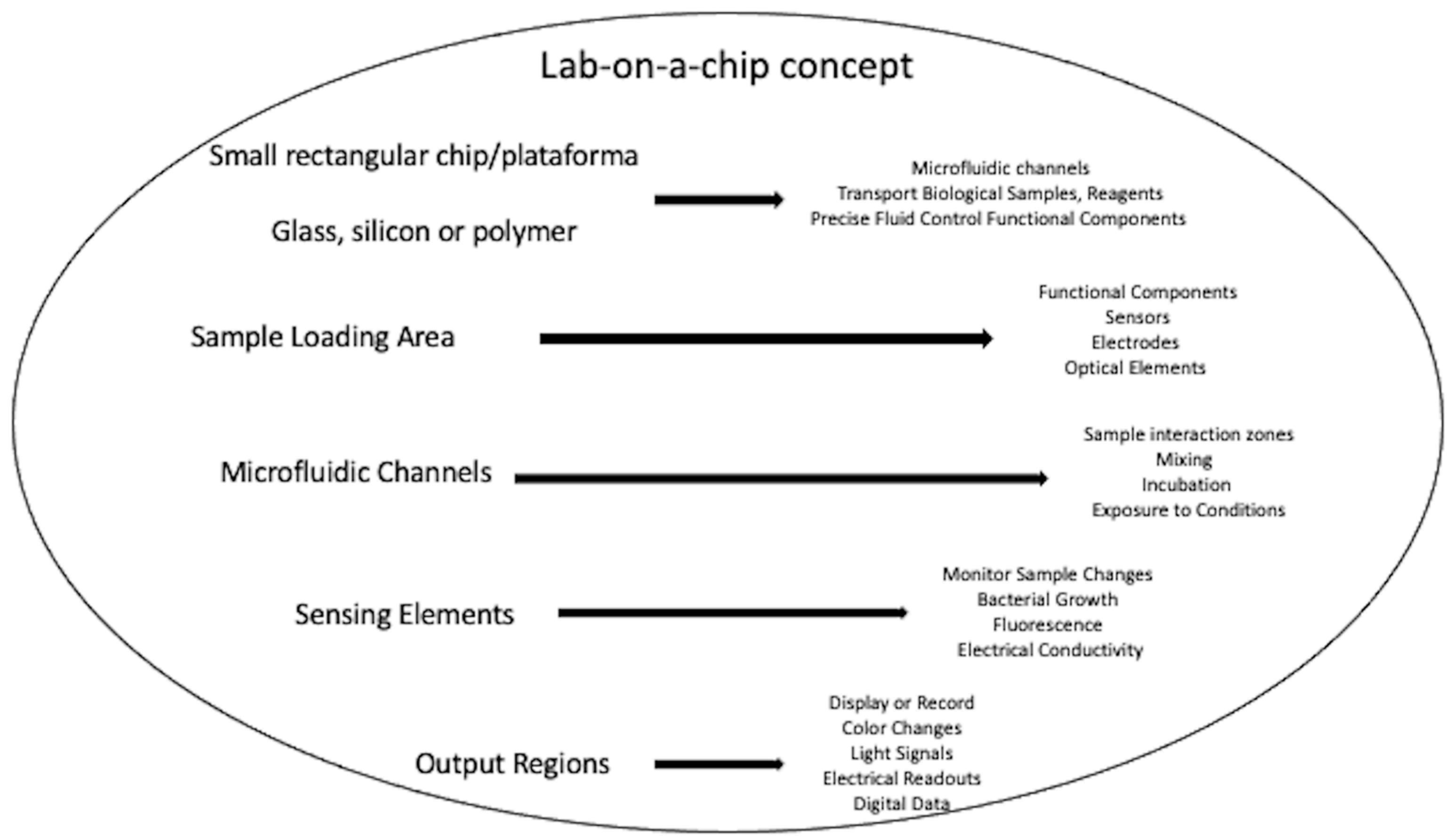 Medicina 59 01719 g002