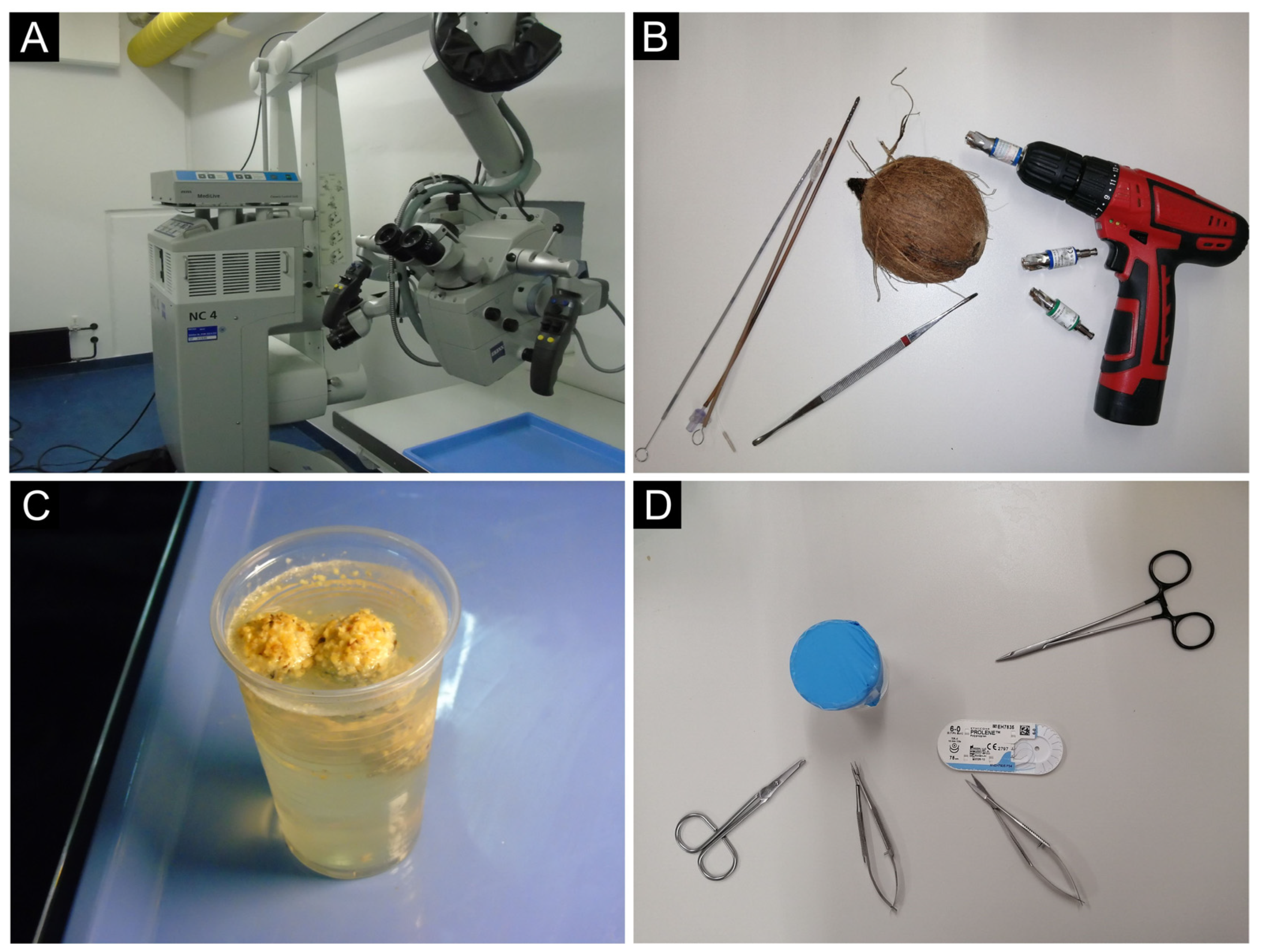 Medicina 59 01720 g0a1