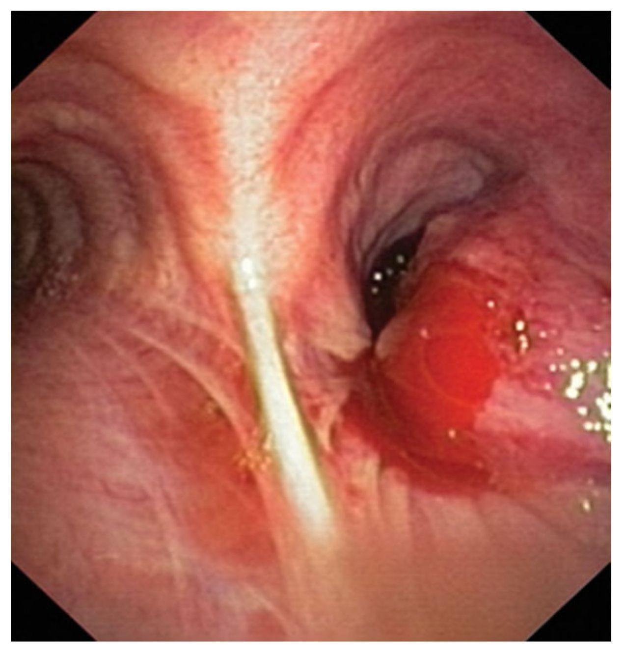 Medicina 59 01723 g001