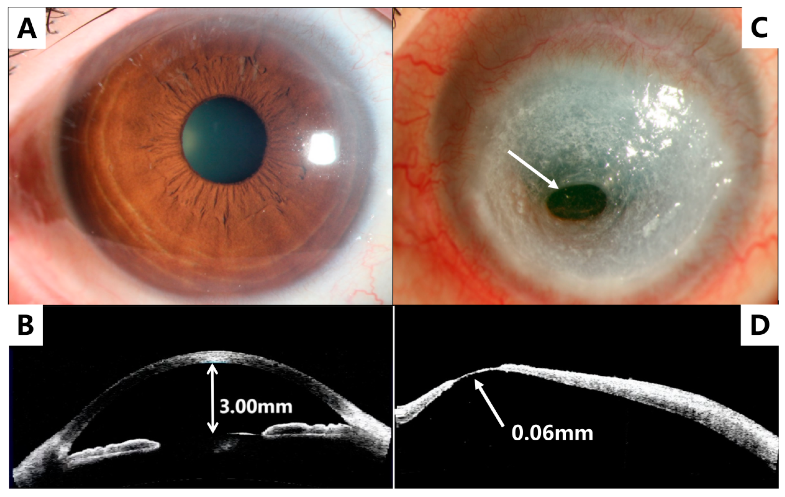 Medicina 59 01733 g001