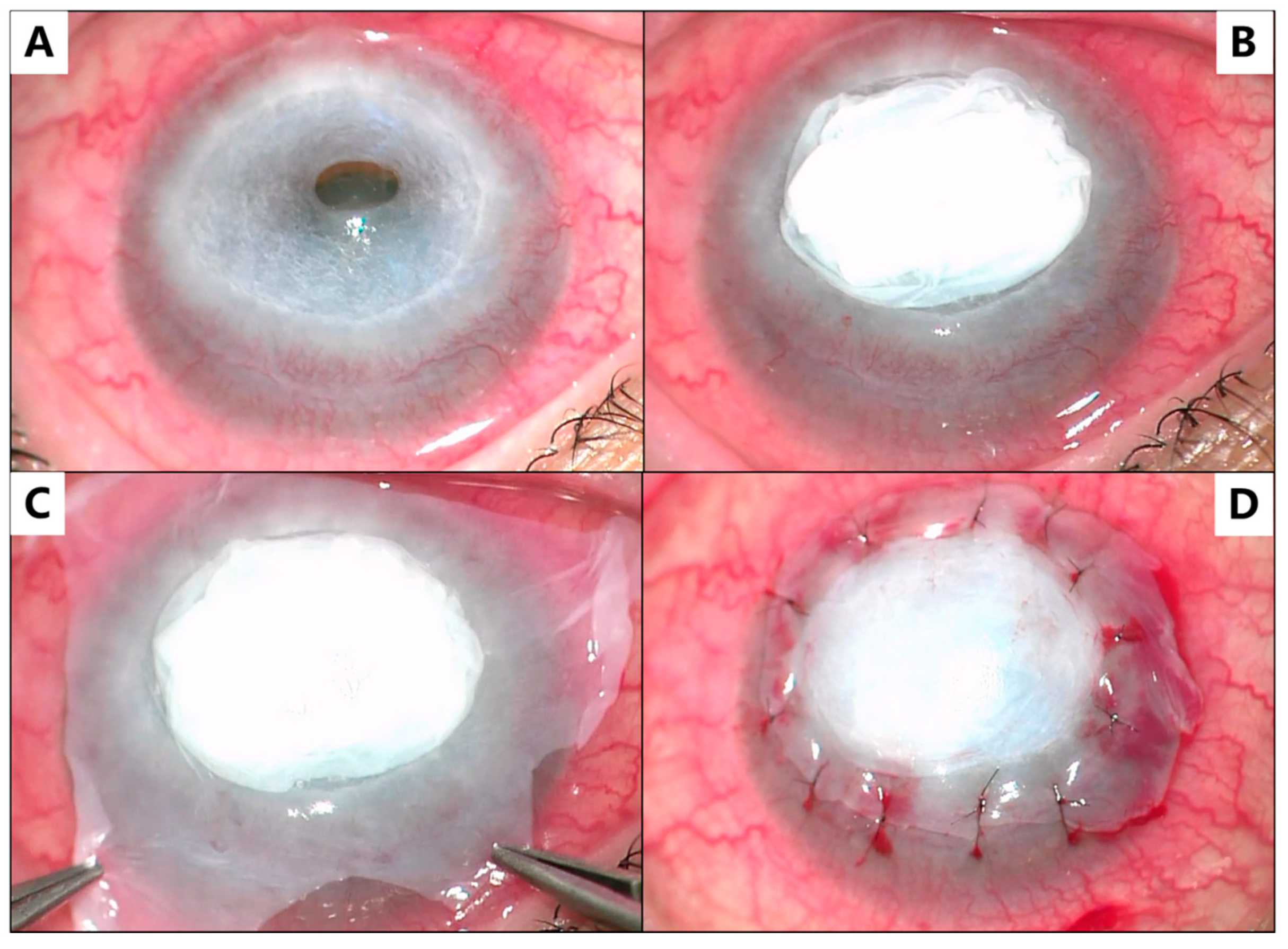 Medicina 59 01733 g002