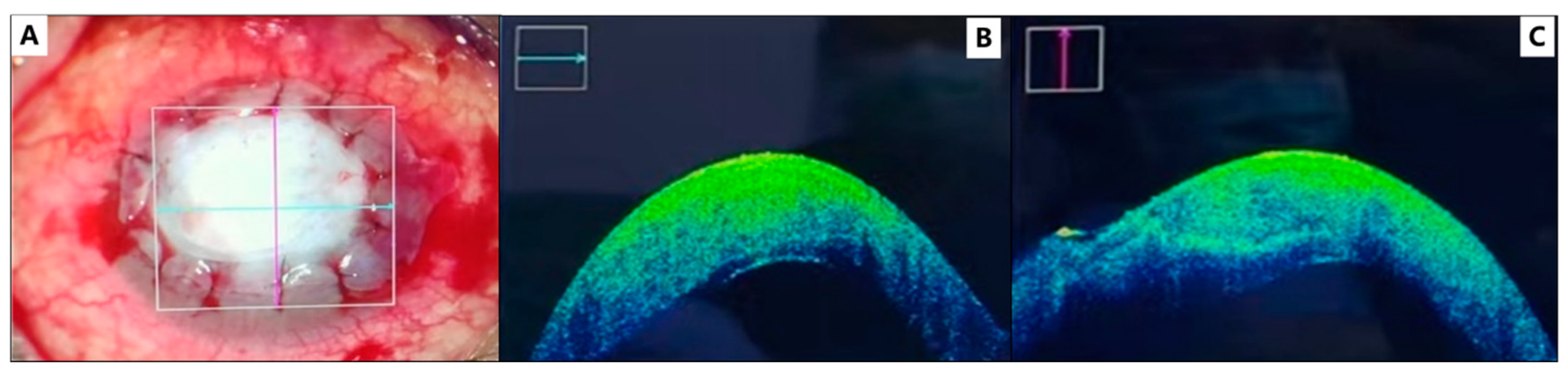 Medicina 59 01733 g003