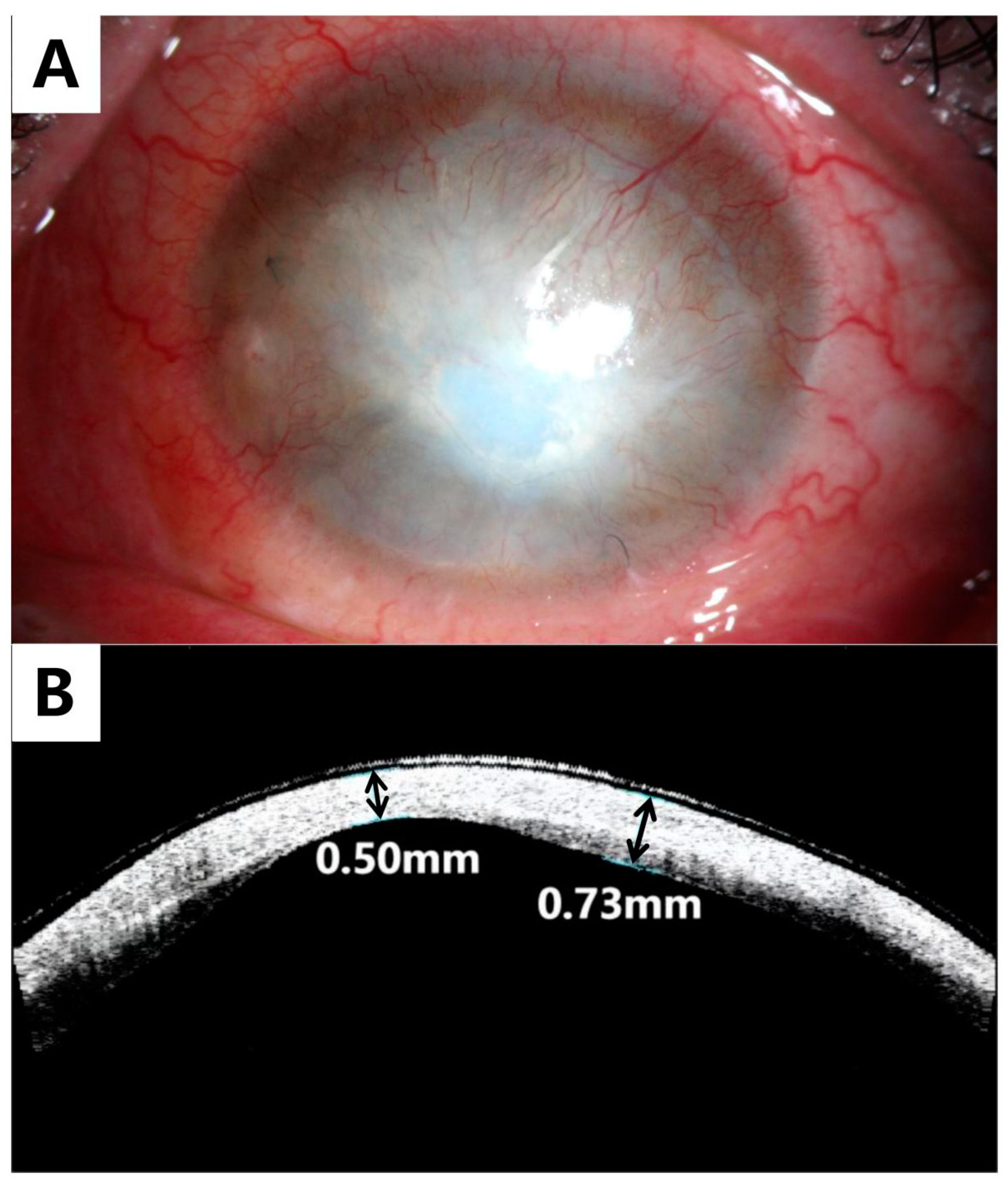 Medicina 59 01733 g004