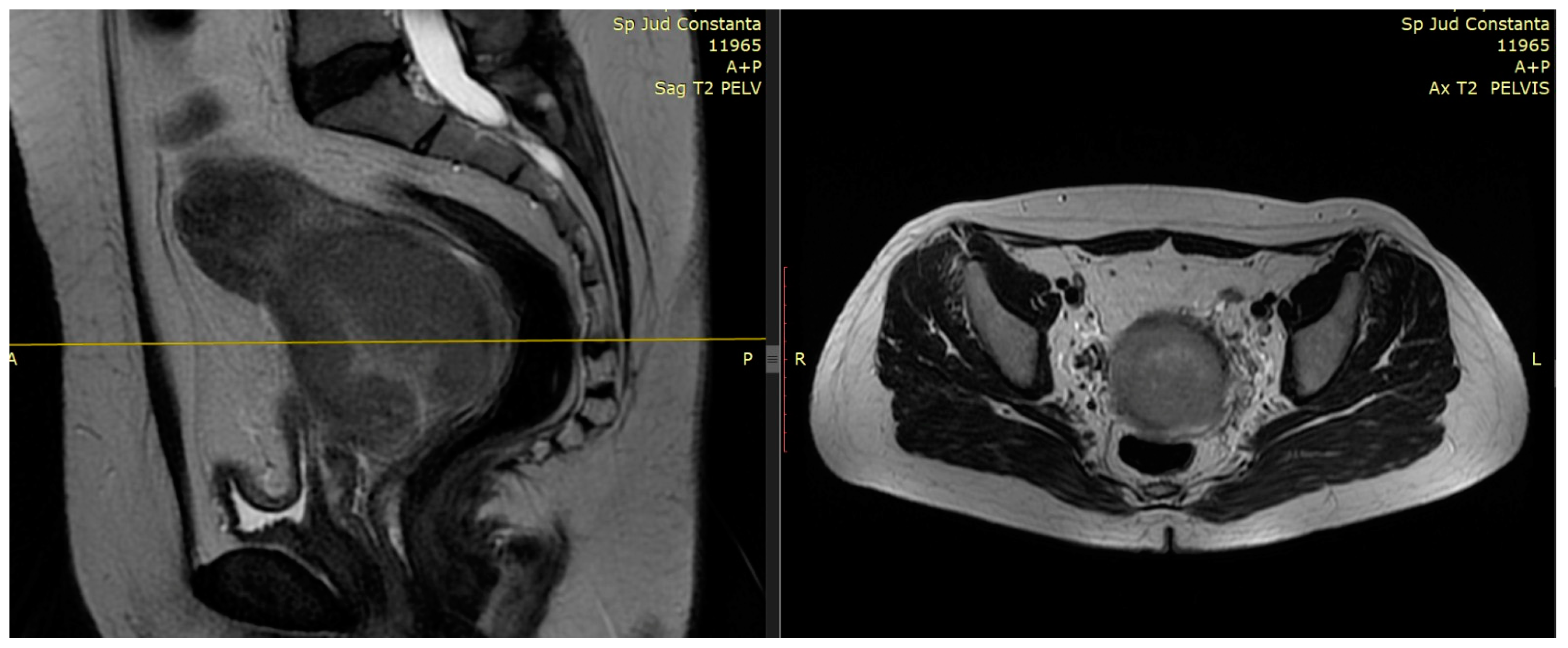 Medicina 59 01735 g001