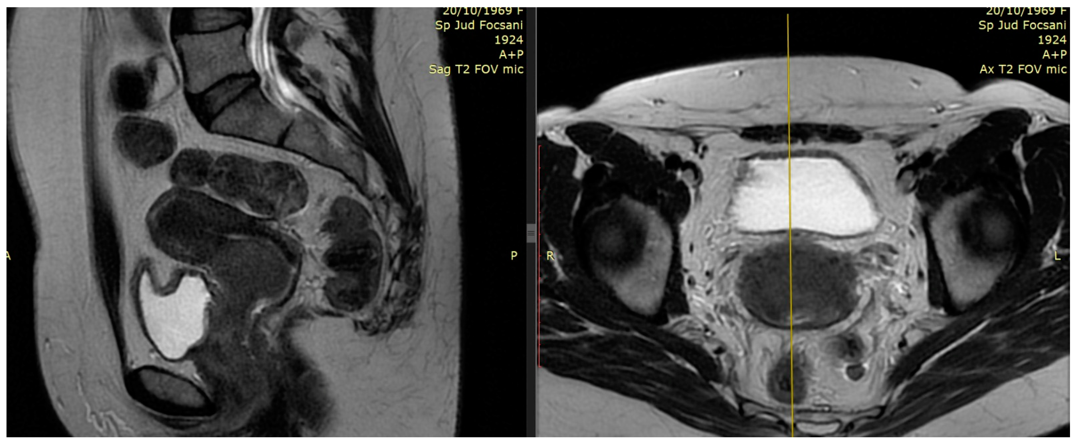 Medicina 59 01735 g002
