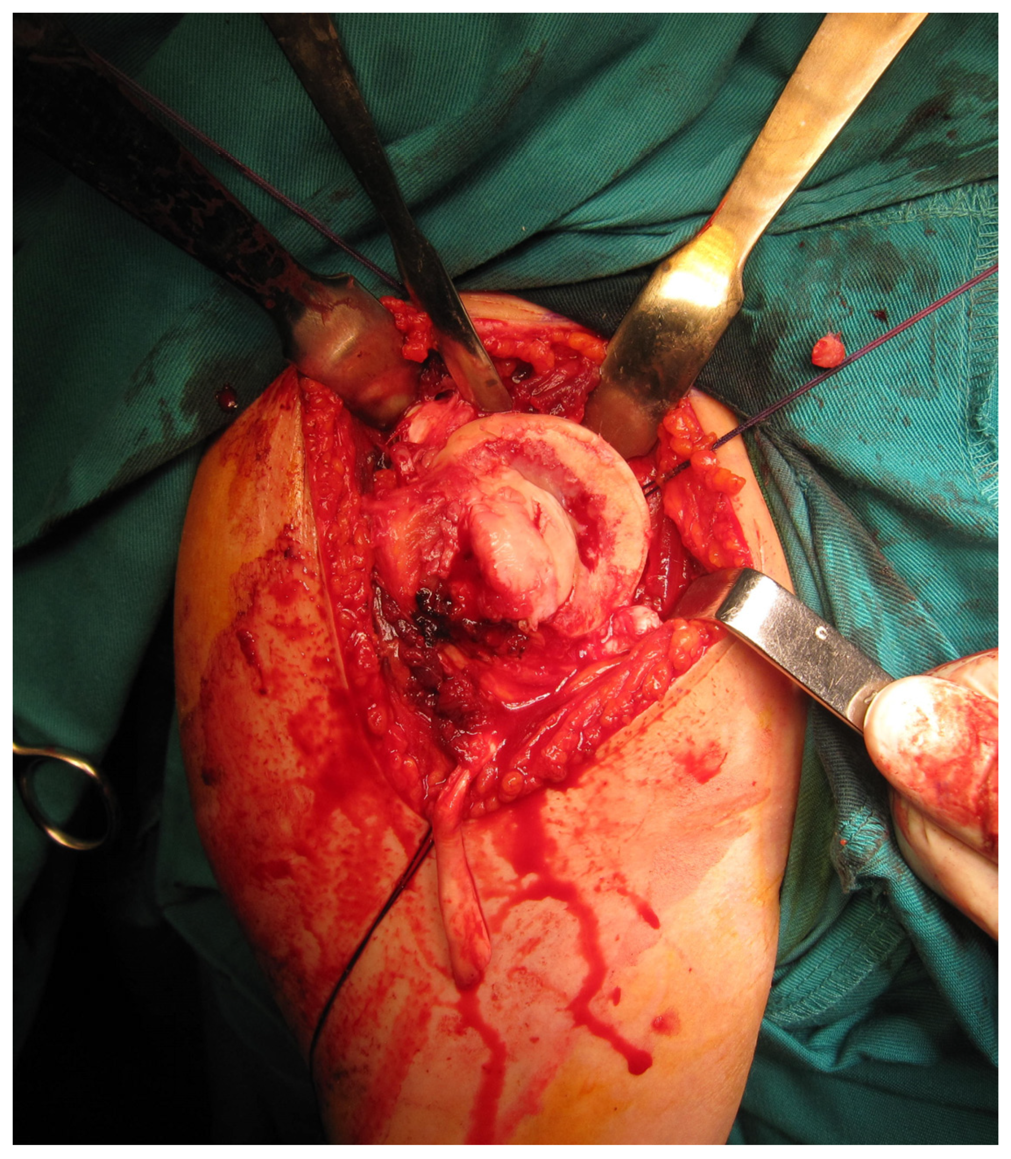 Medicina 59 01736 g002