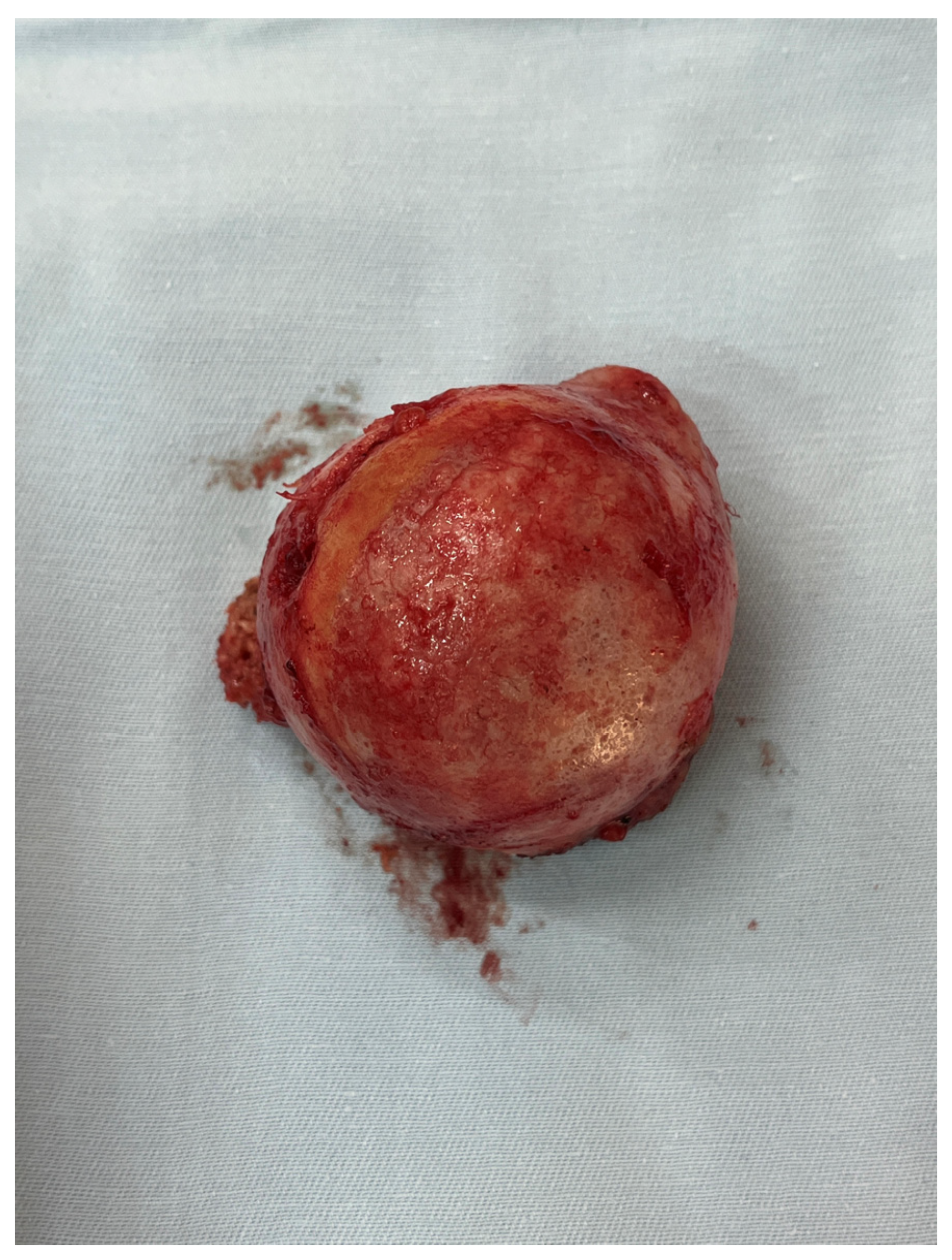 Medicina 59 01736 g003