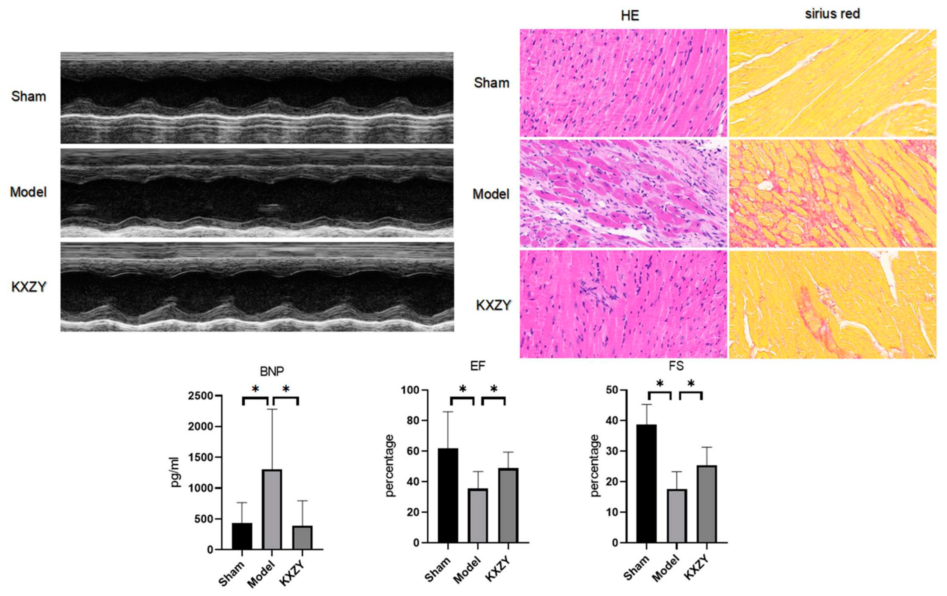 Medicina 59 01740 g009