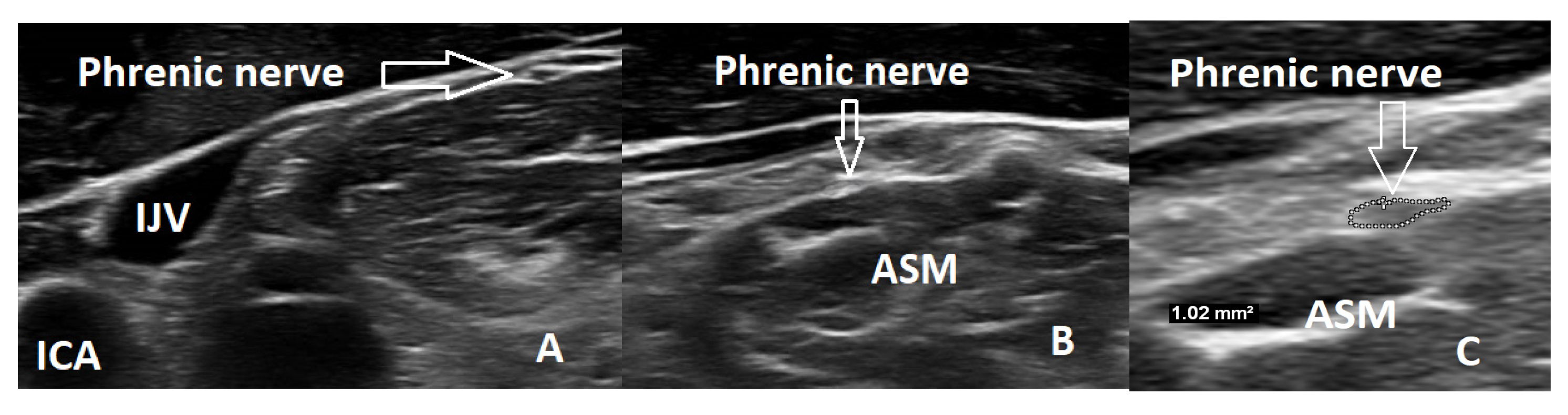 Medicina 59 01745 g001
