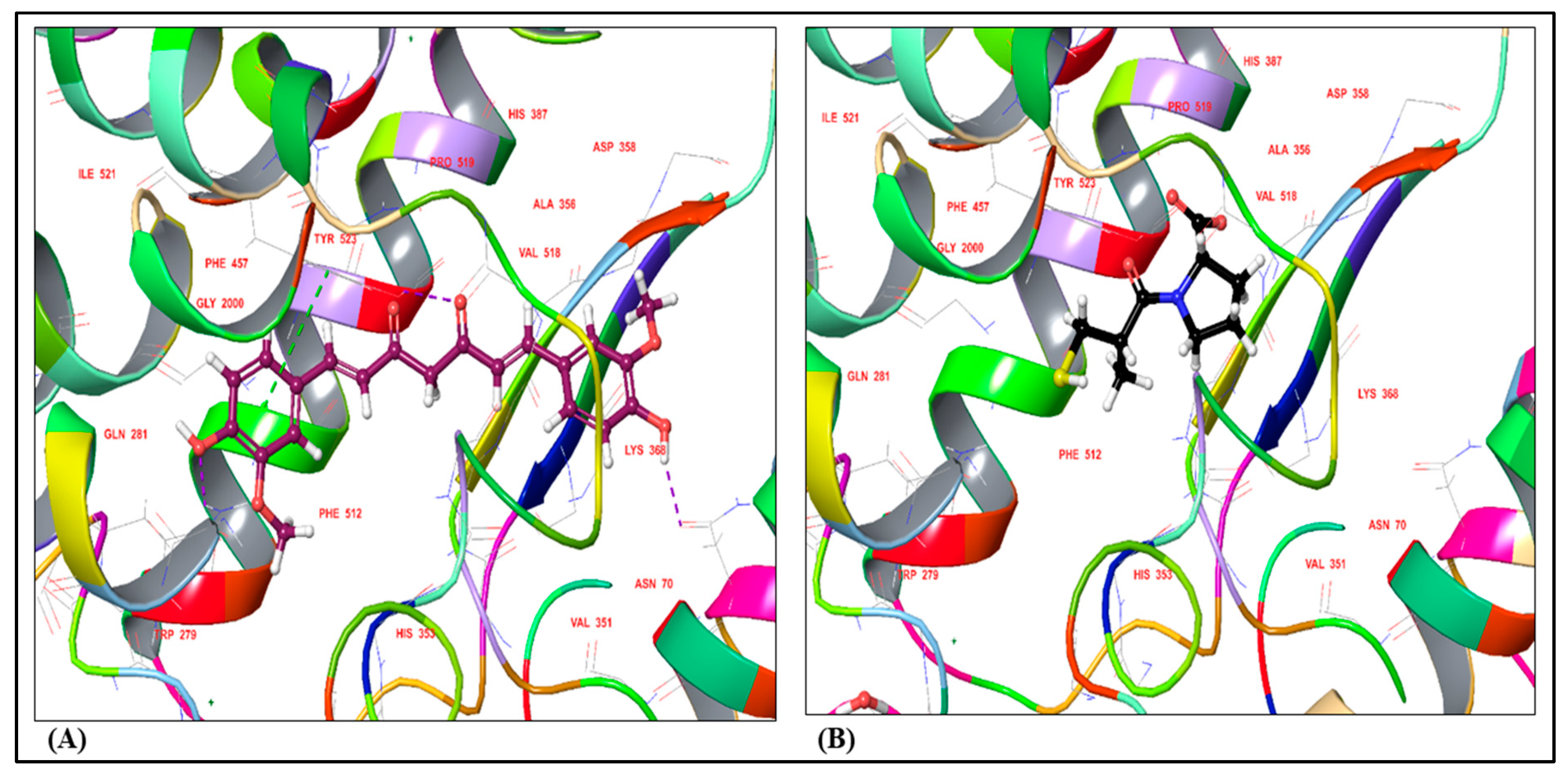 Medicina 59 01748 g001