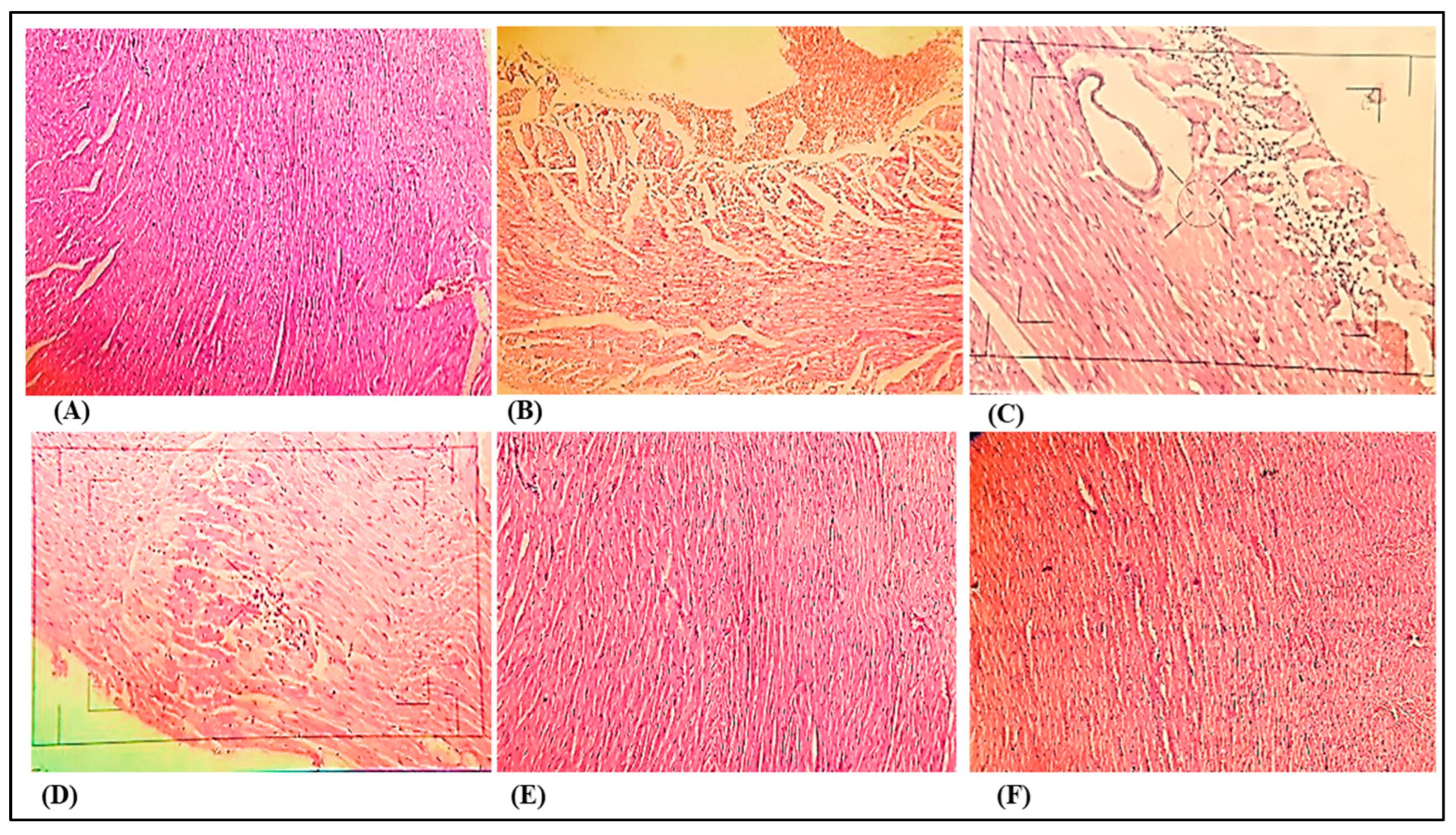 Medicina 59 01748 g007