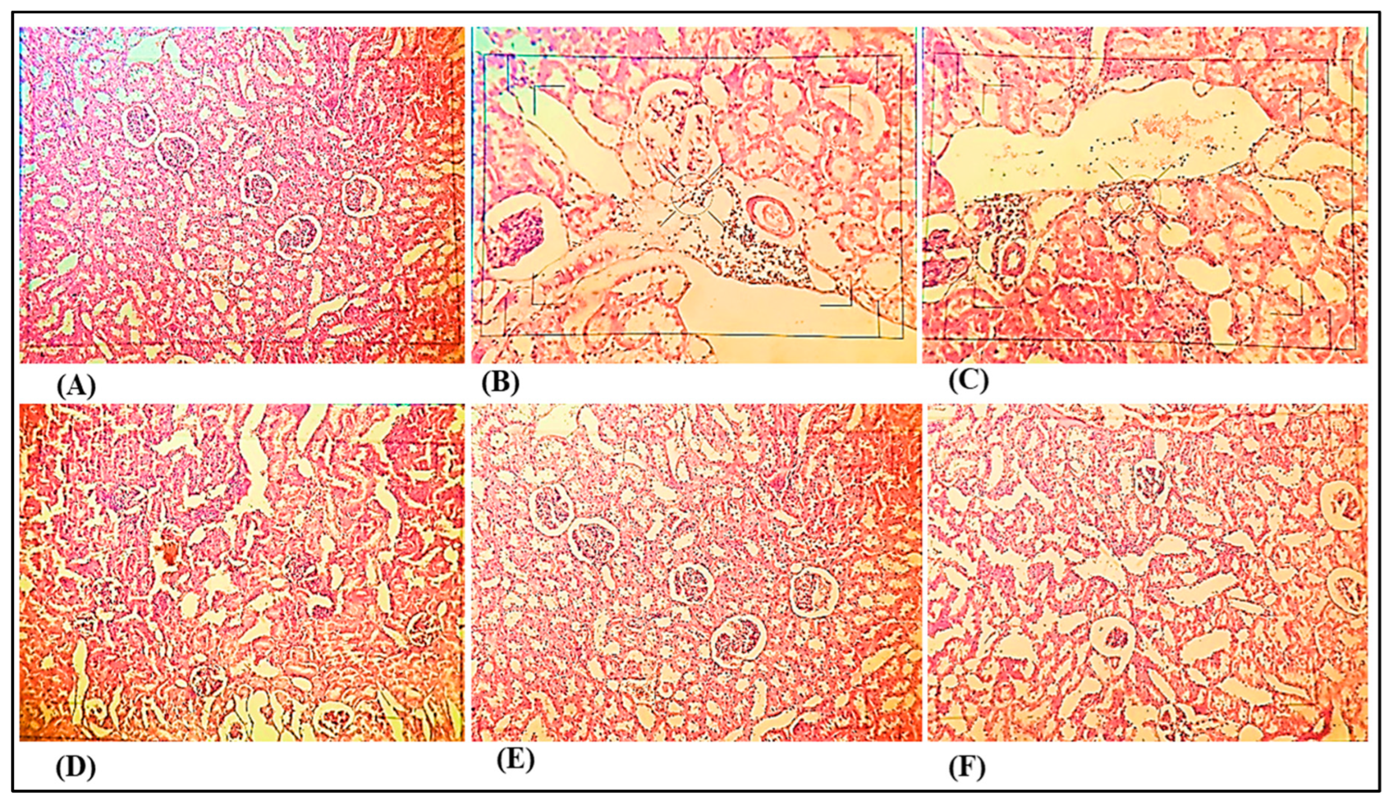 Medicina 59 01748 g008