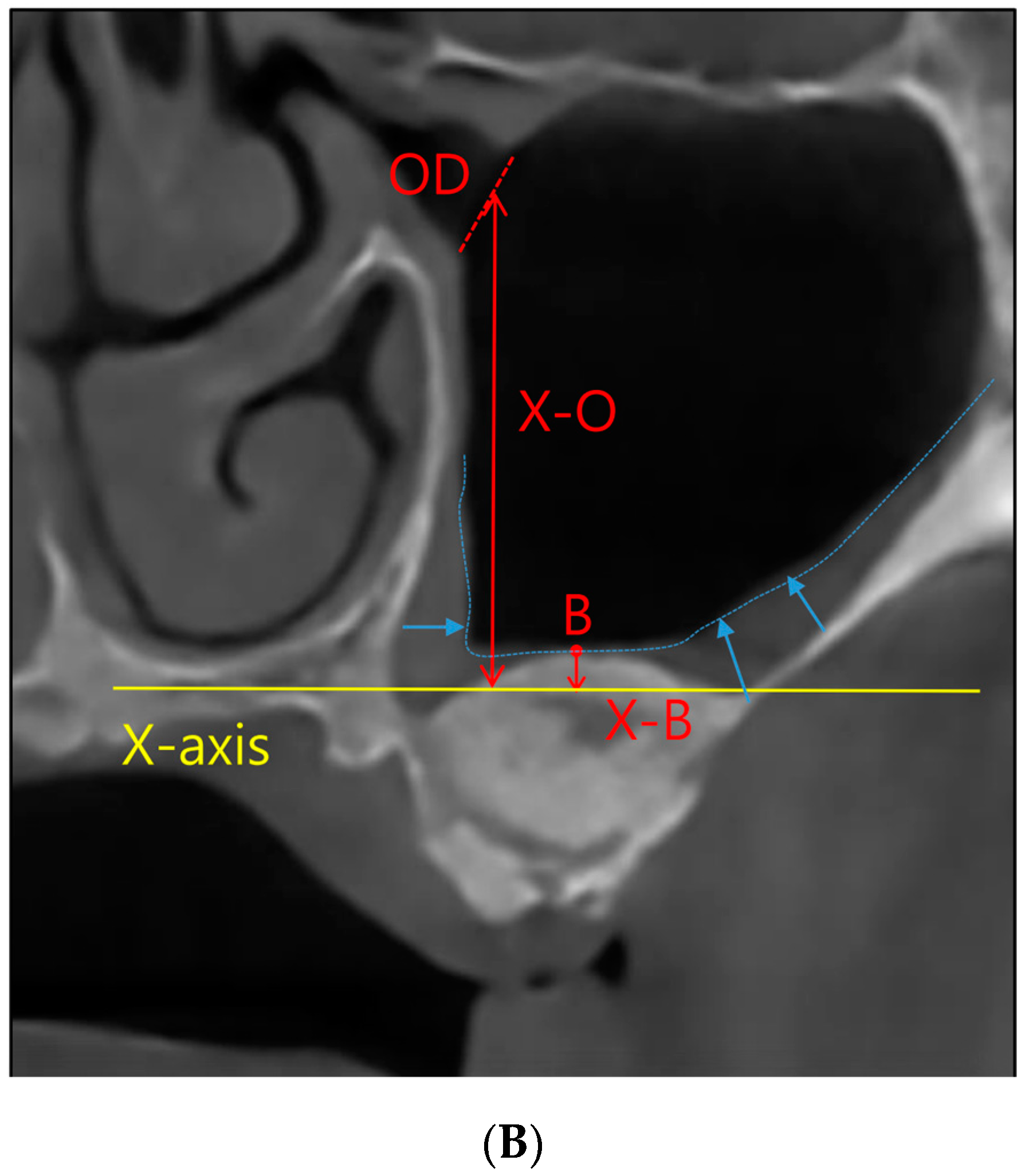 Medicina 59 01750 g001b