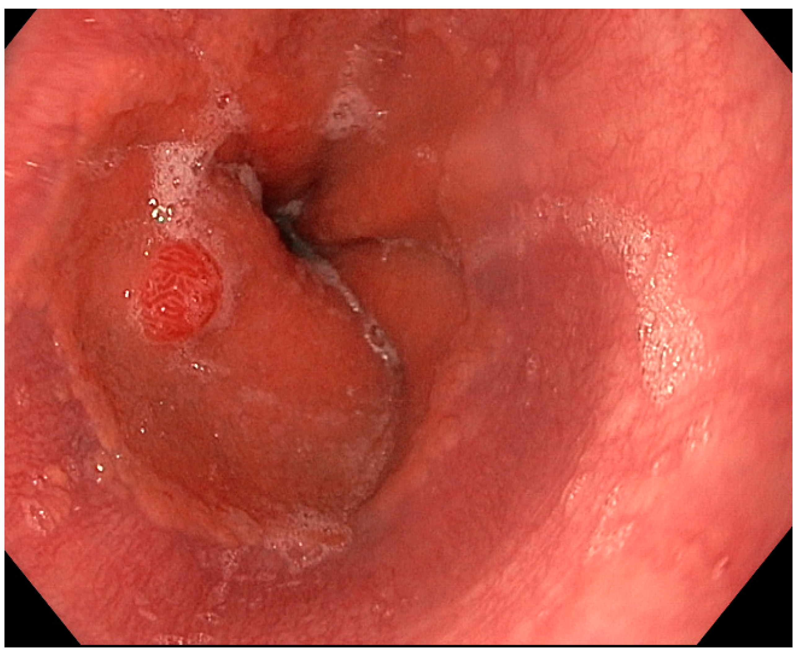 Medicina 59 01757 g001