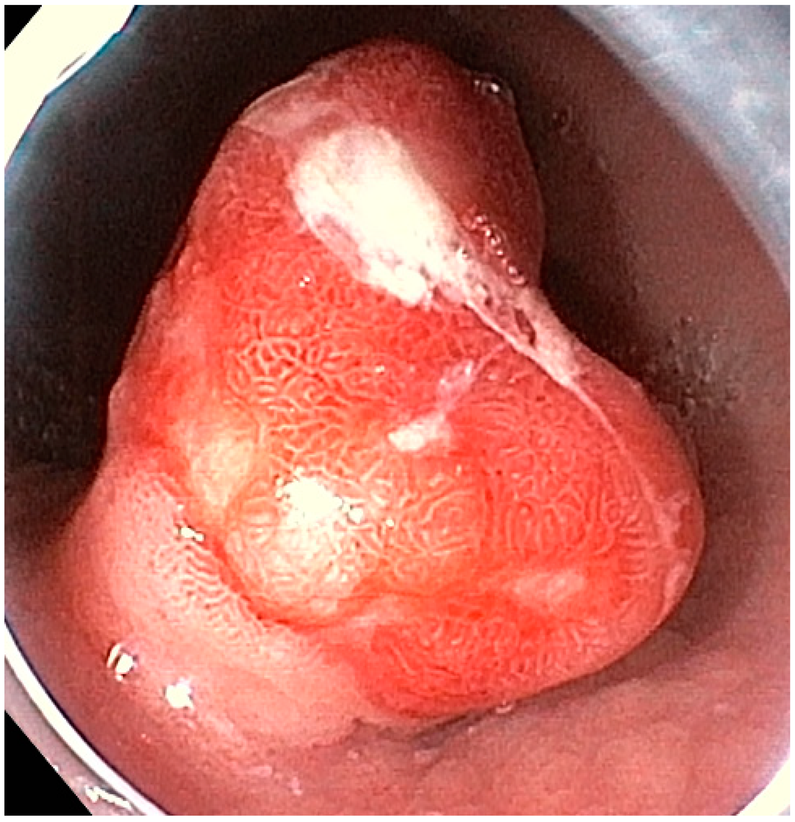 Medicina 59 01757 g002