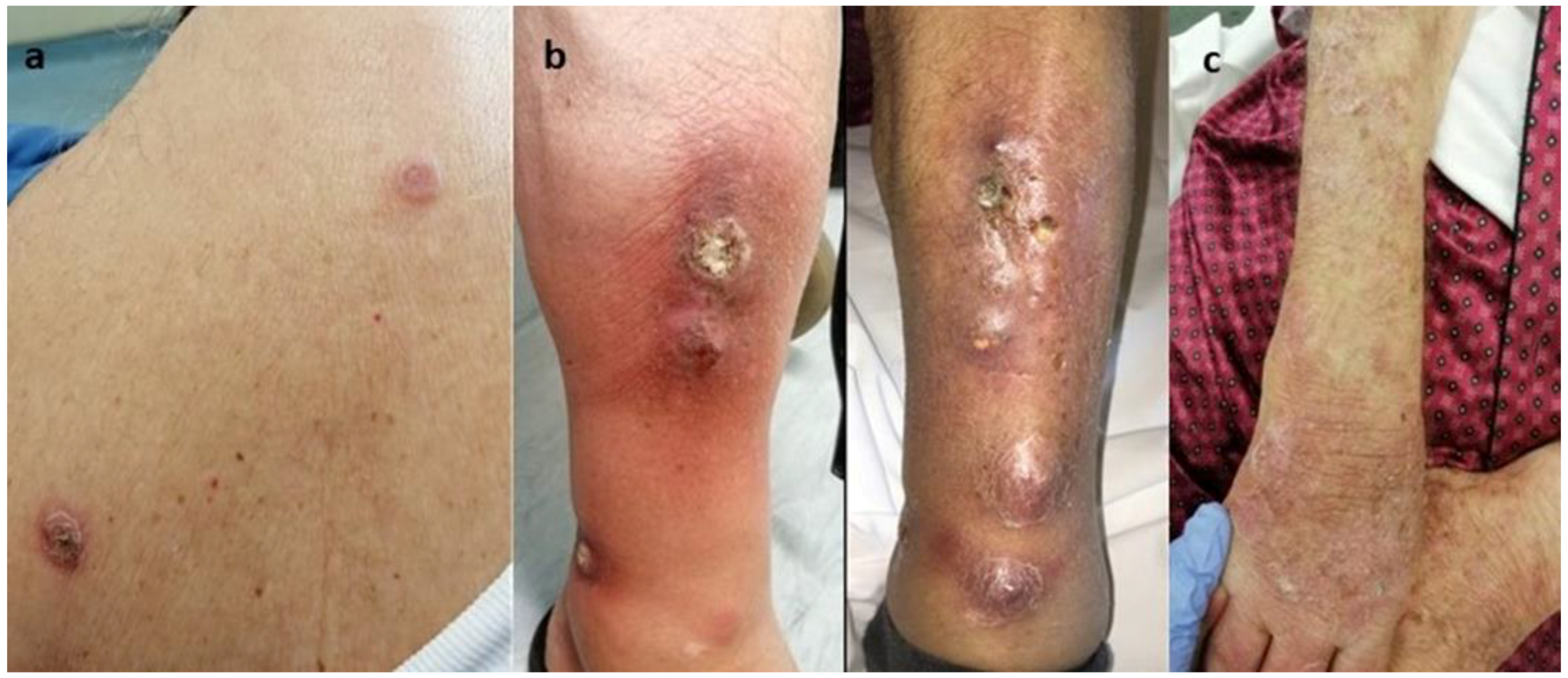 Medicina 59 01758 g001