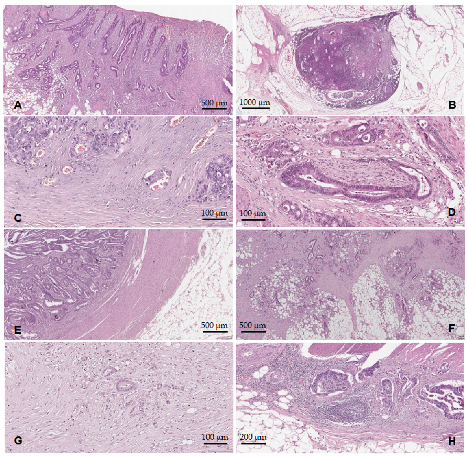 Medicina 59 01761 g004