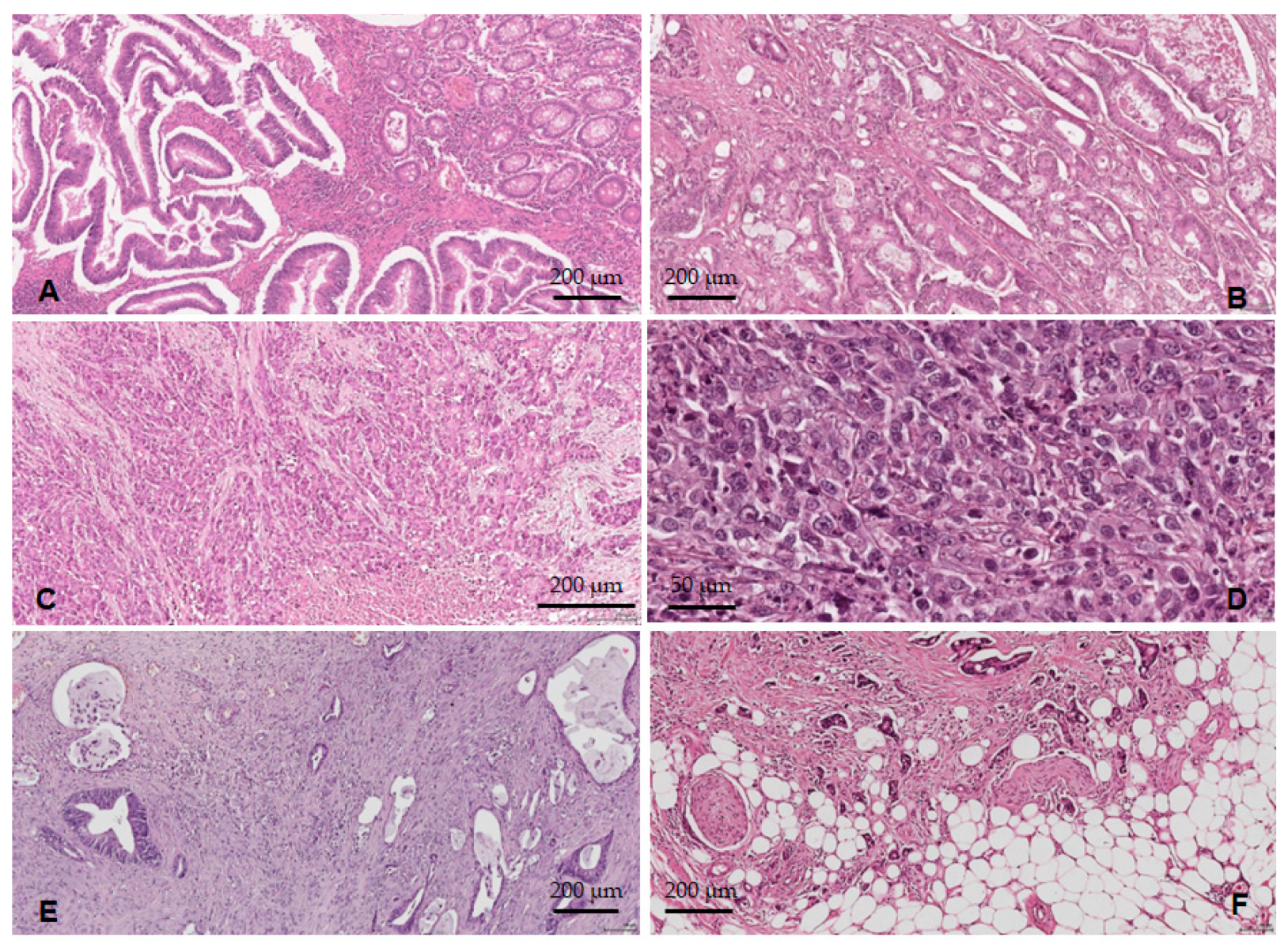 Medicina 59 01761 g005