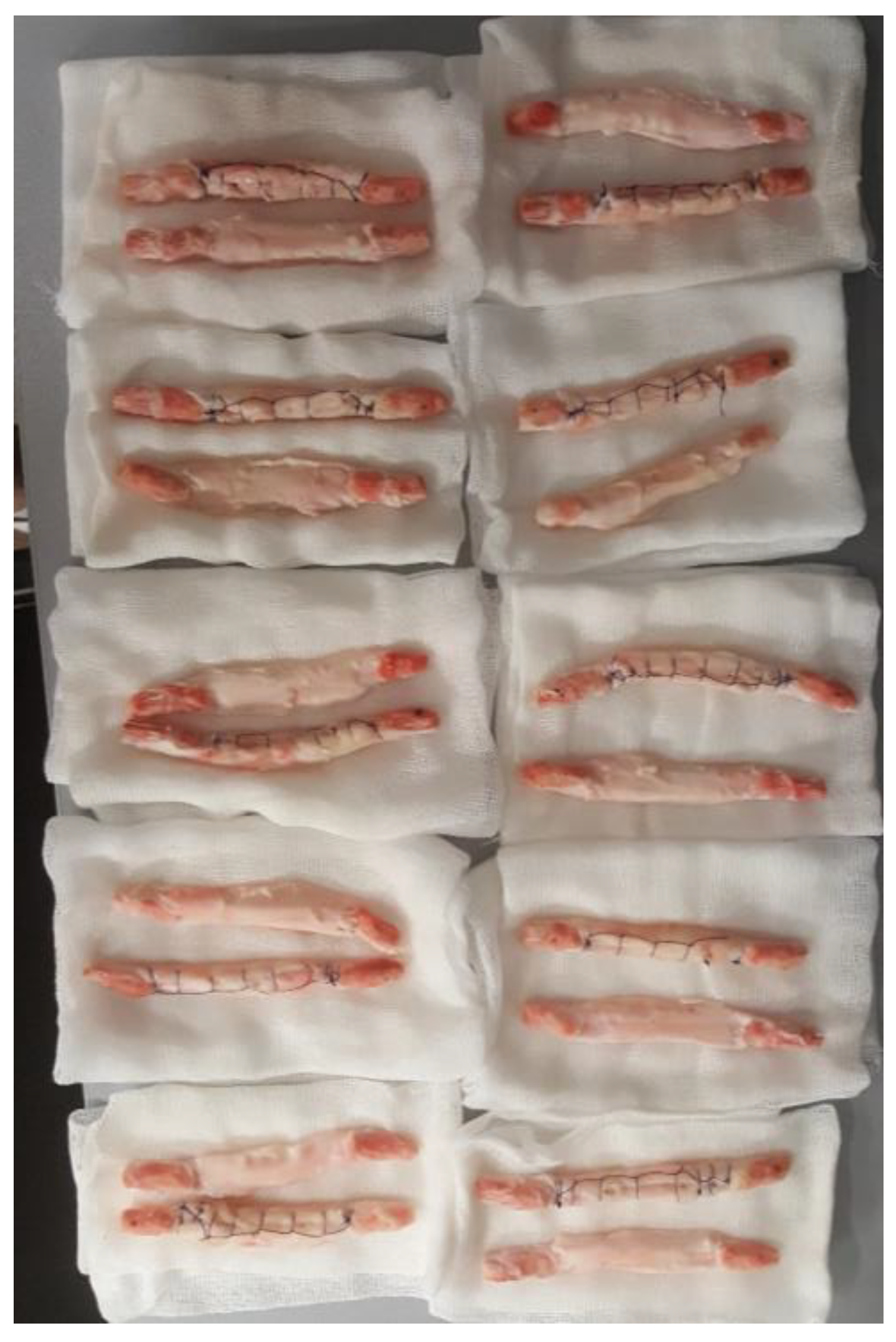 Medicina 59 01764 g001