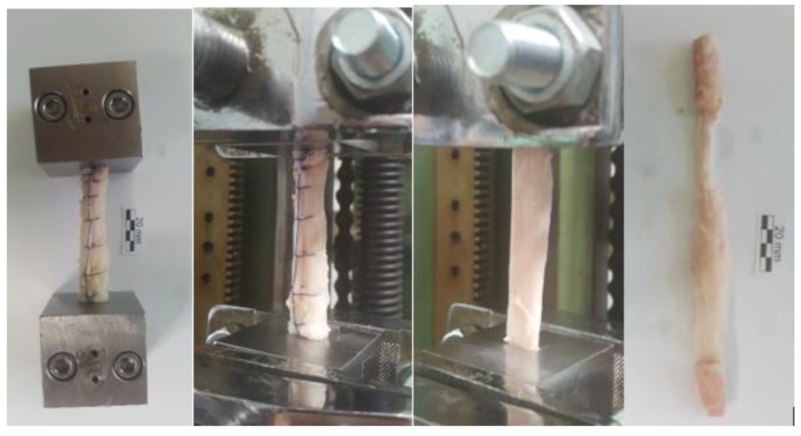 Medicina 59 01764 g002