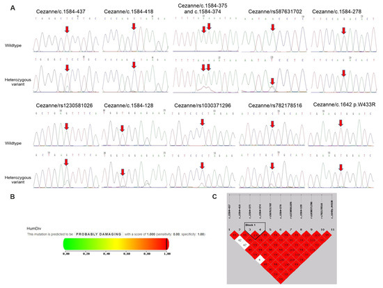 Associations of A20, CYLD, Cezanne and JAK2 Genes and