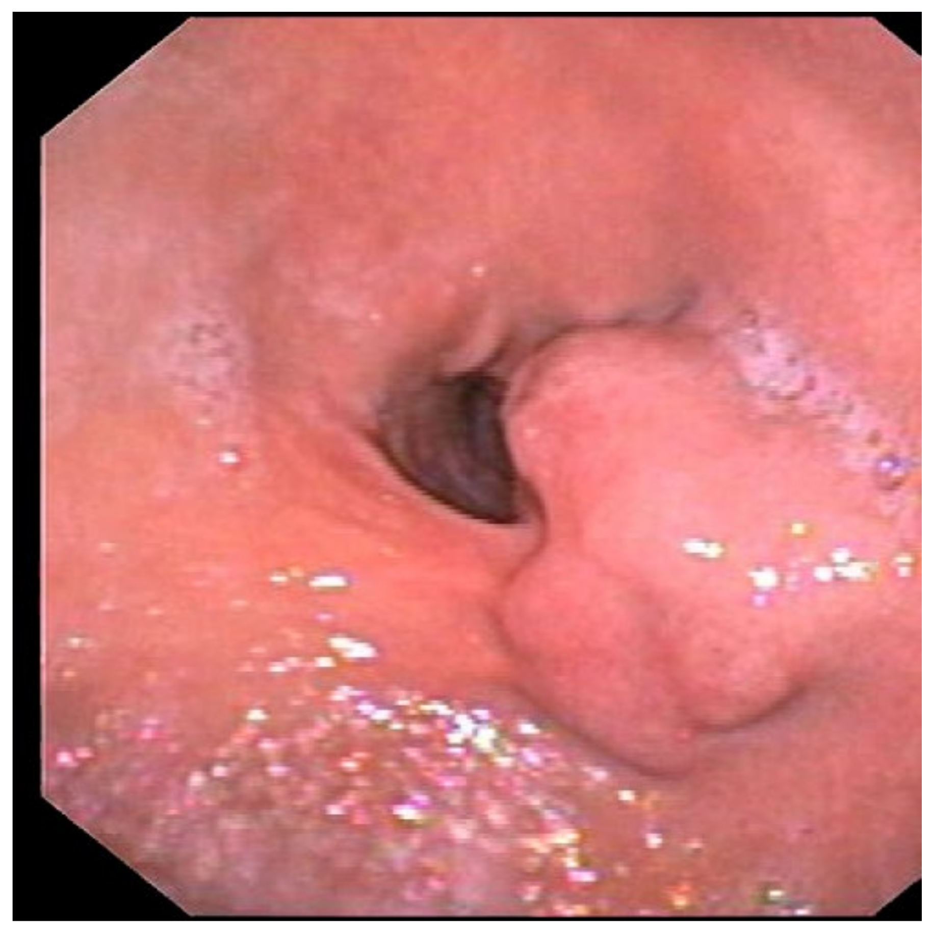 Medicina 59 01770 g001